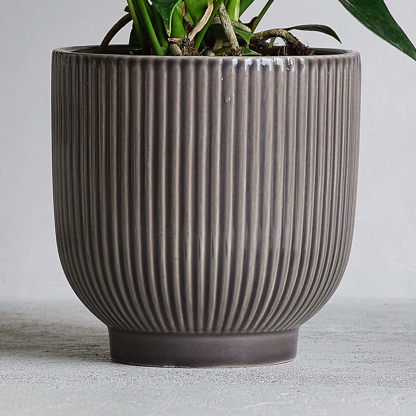 Peach Anthurium Potted House Plant and Candle Bundle