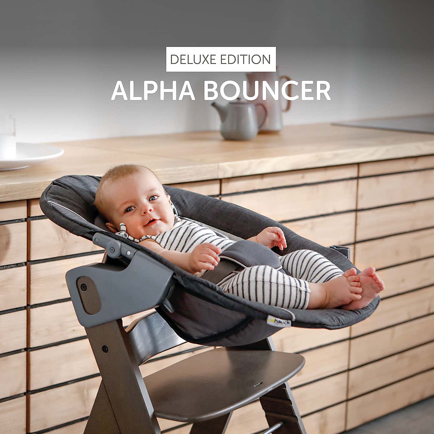 Hauck Alpha Deluxe Bouncer