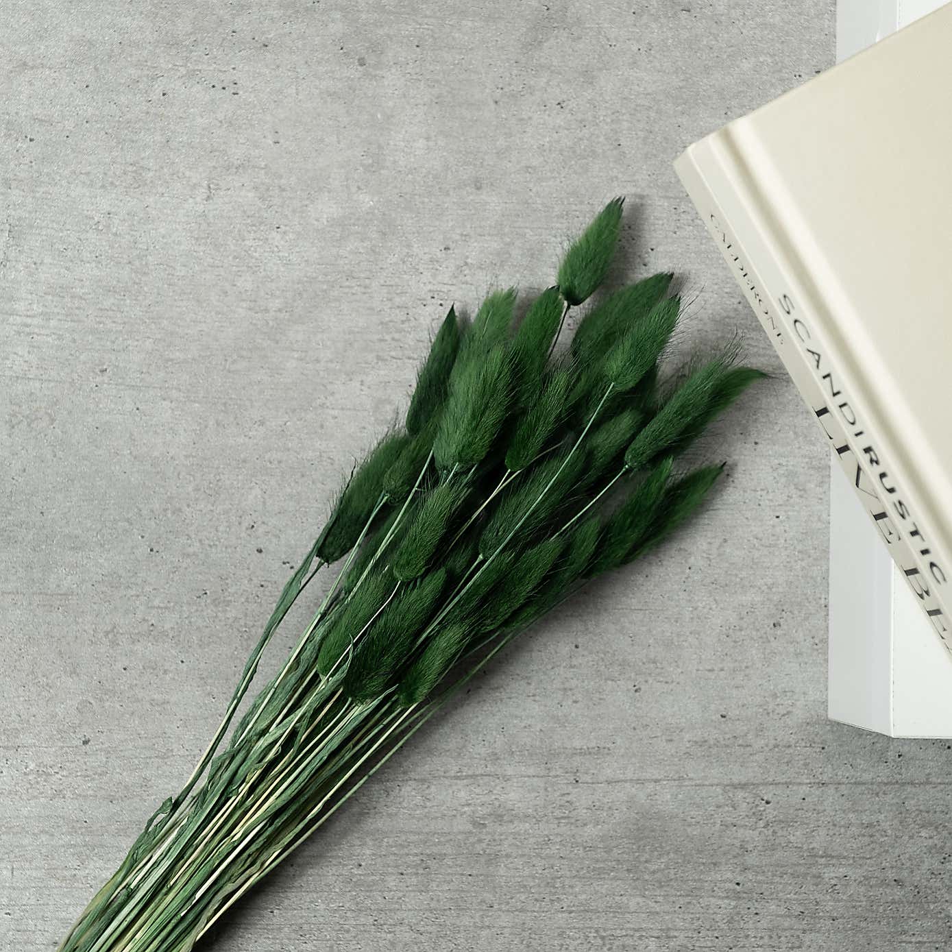 Dried Bunny Tails Bouquet