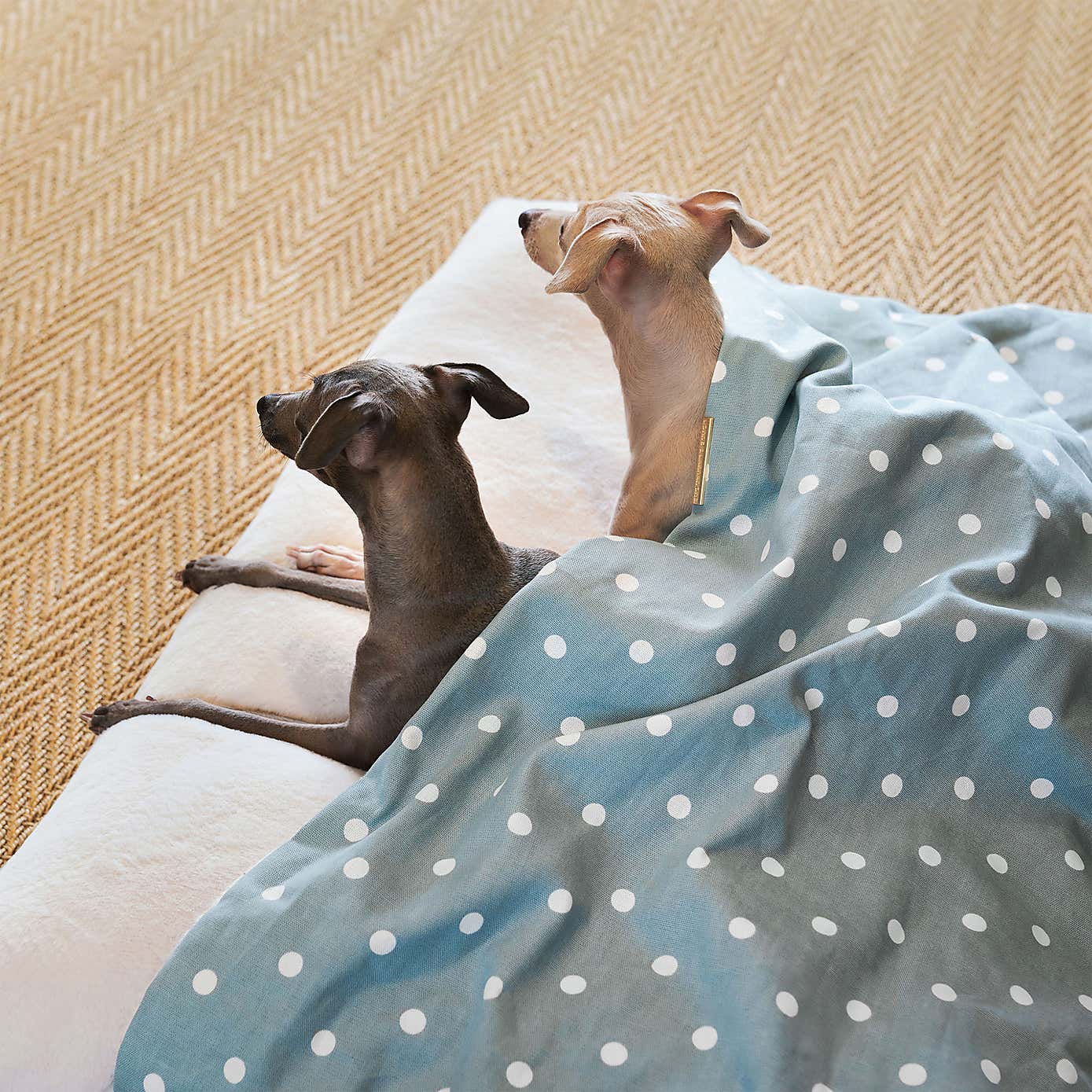 Lords and Labradors Spotty Sleepy Burrow Dog Bed