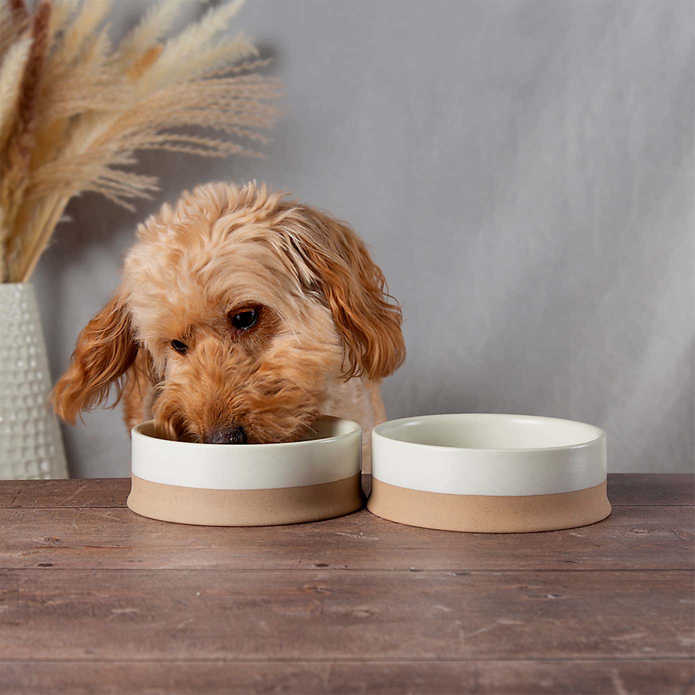 Scruffs Set of 2 Scandi Pet Bowls