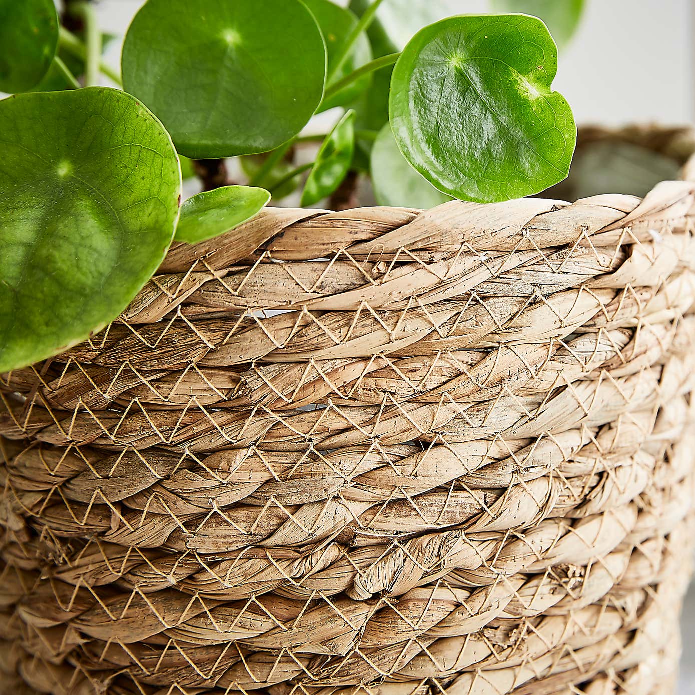 Set of 3 Woven Plant Pots
