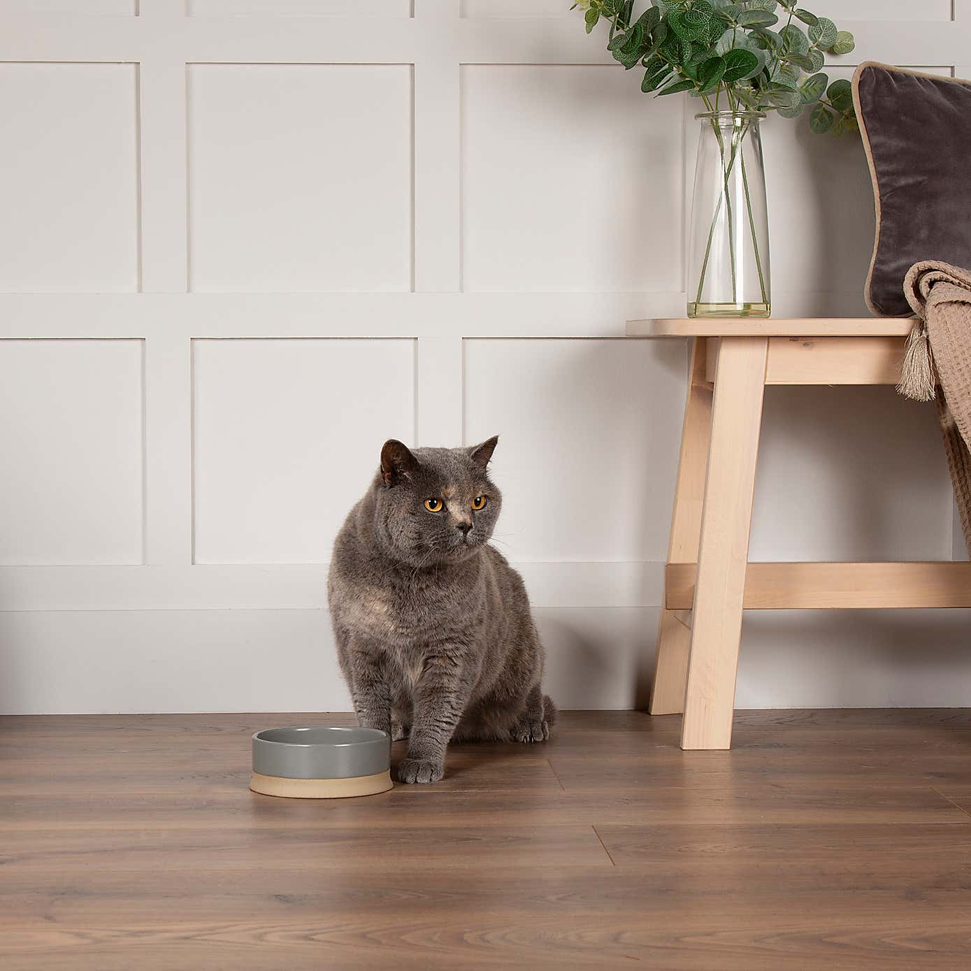 Scruffs Set of 2 Scandi Pet Bowls