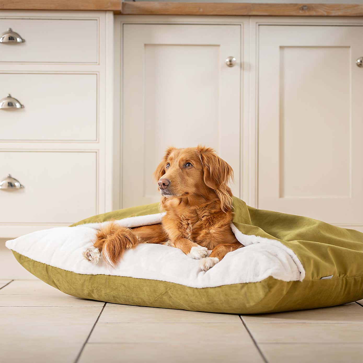 Lords and Labradors Burrow Dog Bed
