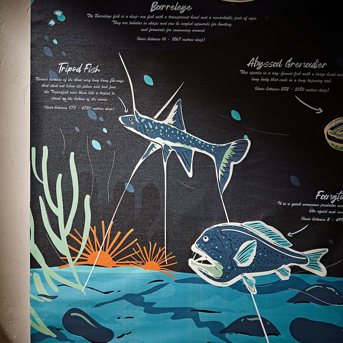 Kids Midnight Zone Hanging Mural 110cm x 150cm