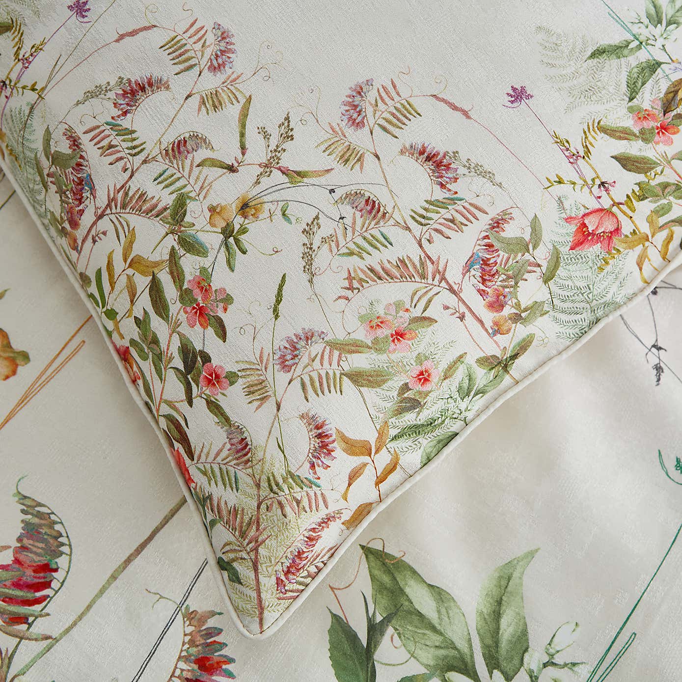 Dorma Rambling Rose Cream Standard Pillowcase Pair