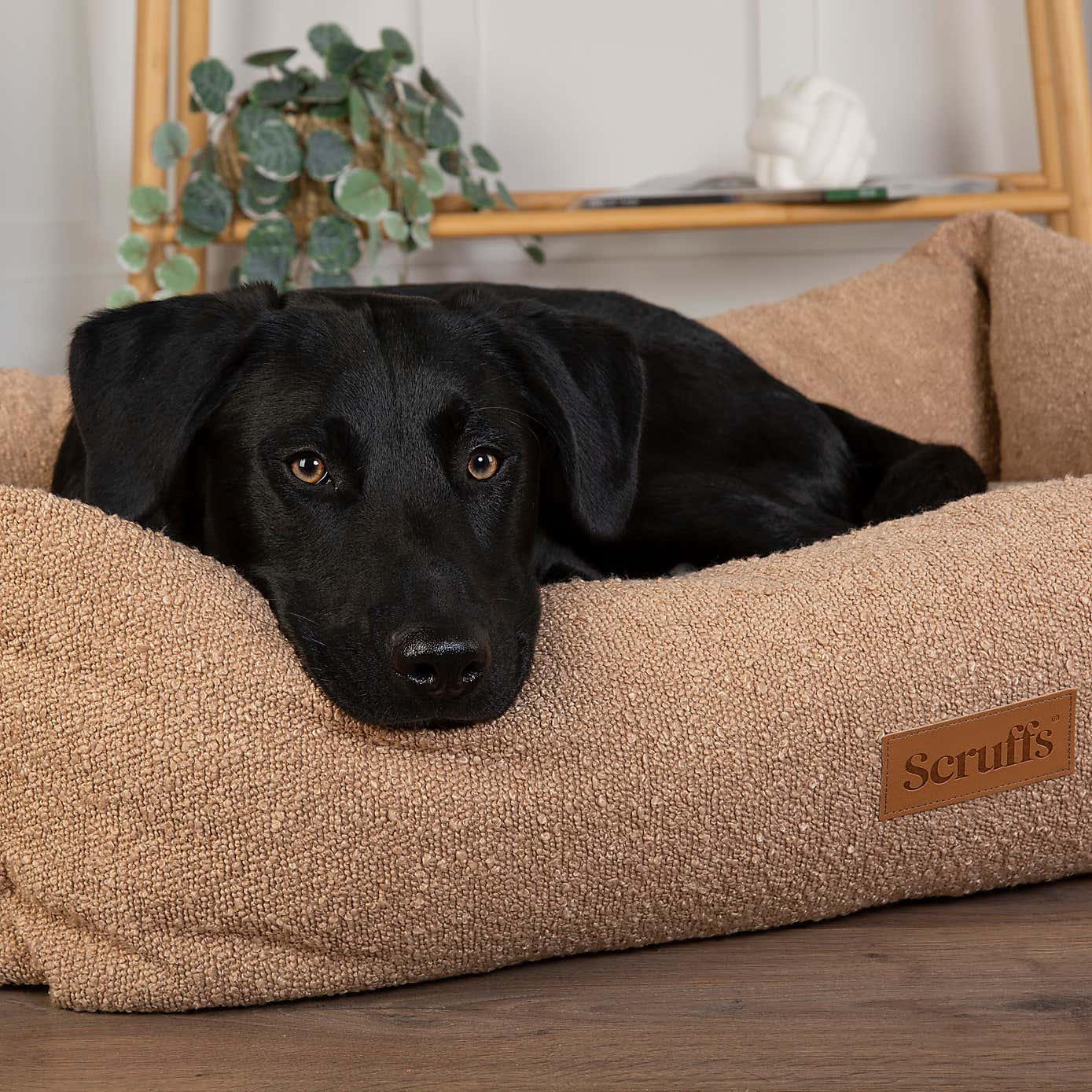 Scruffs Boucle Box Bed