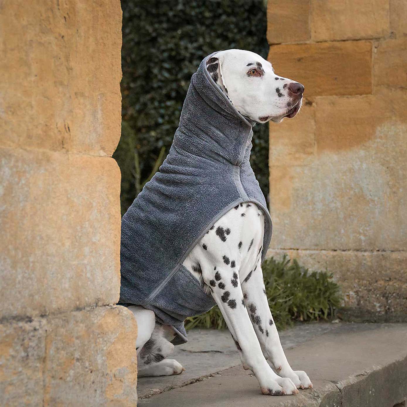 Lords and Labradors Bamboo Dog Drying Coat