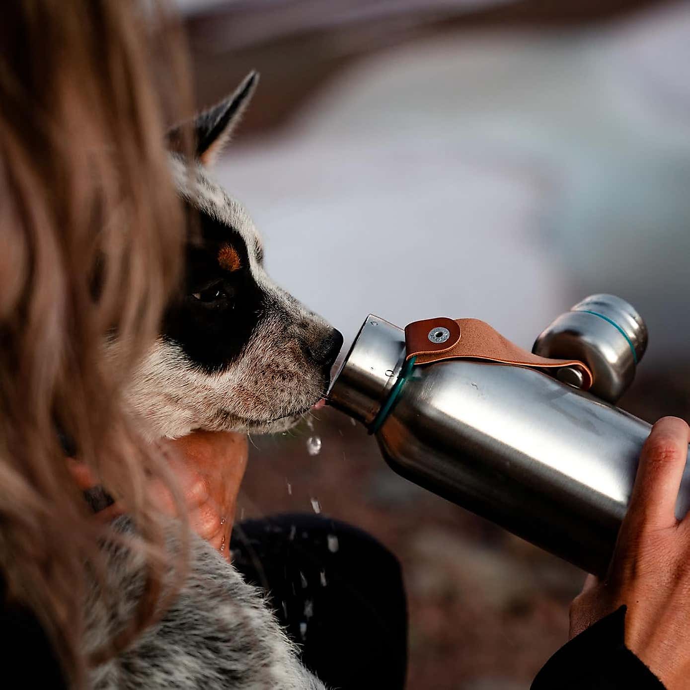 Black and Blum Insulated Water Bottle