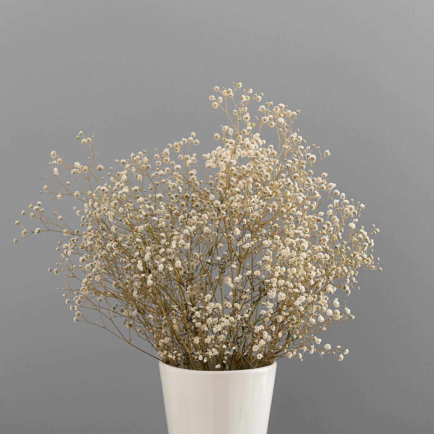 Dried White Gypsophila Bundle