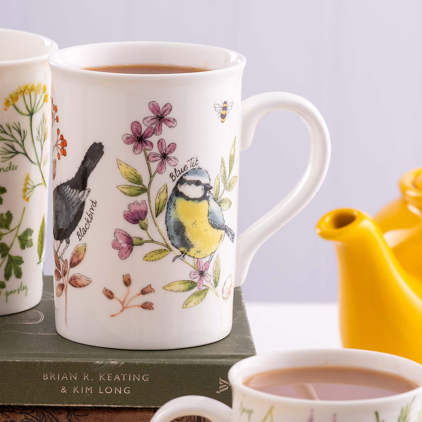 Price & Kensington Set of 2 Garden Birds Mugs