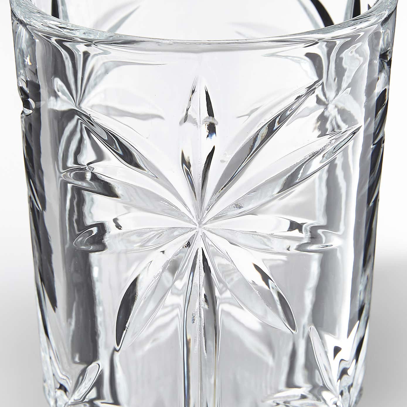 Luxe Palm Highball Glass