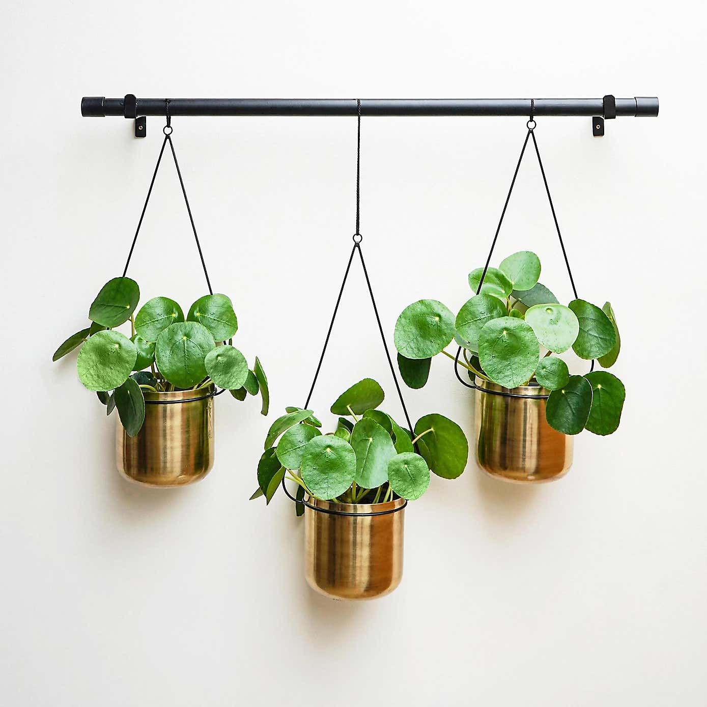Linear Hanging Plant Pots