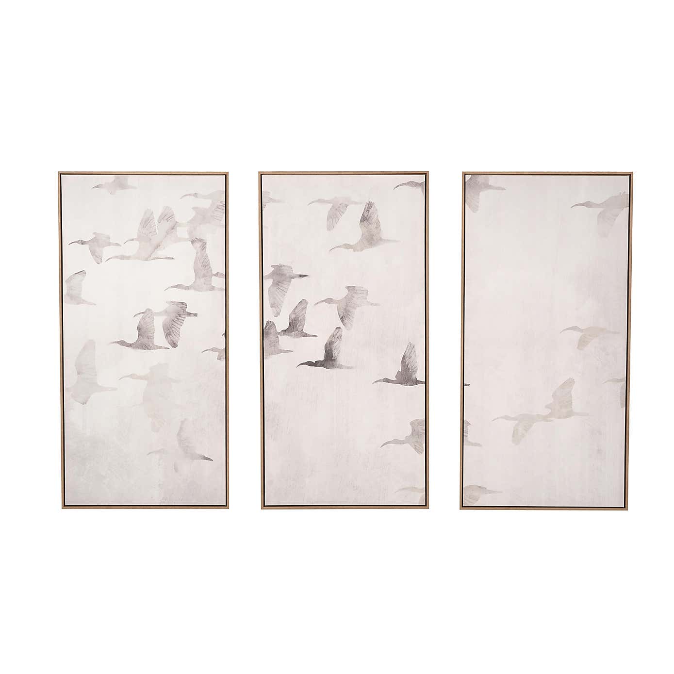 Set of 3 Birds Natural Framed Canvases