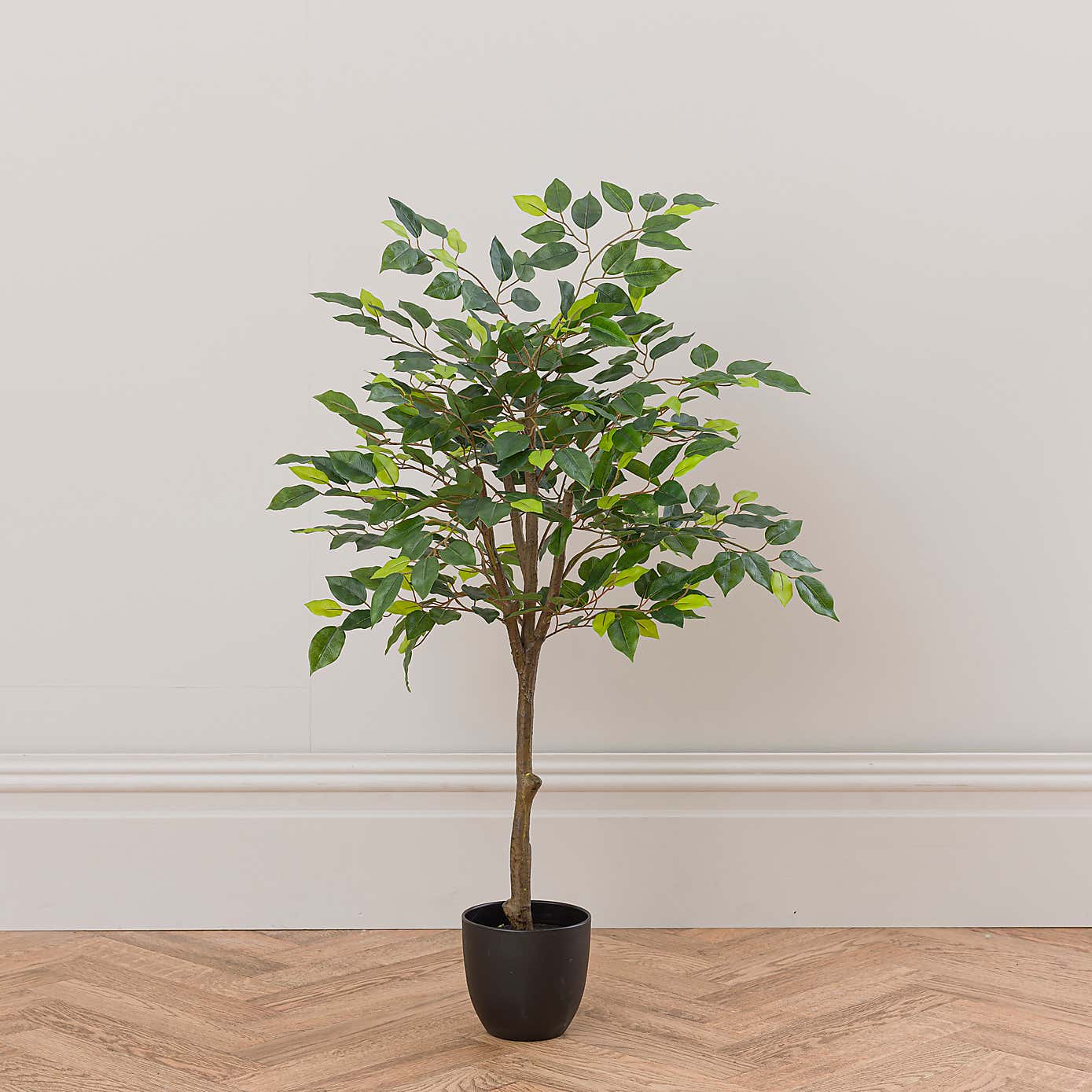 Artificial Ficus Tree in Black Cement Plant Pot