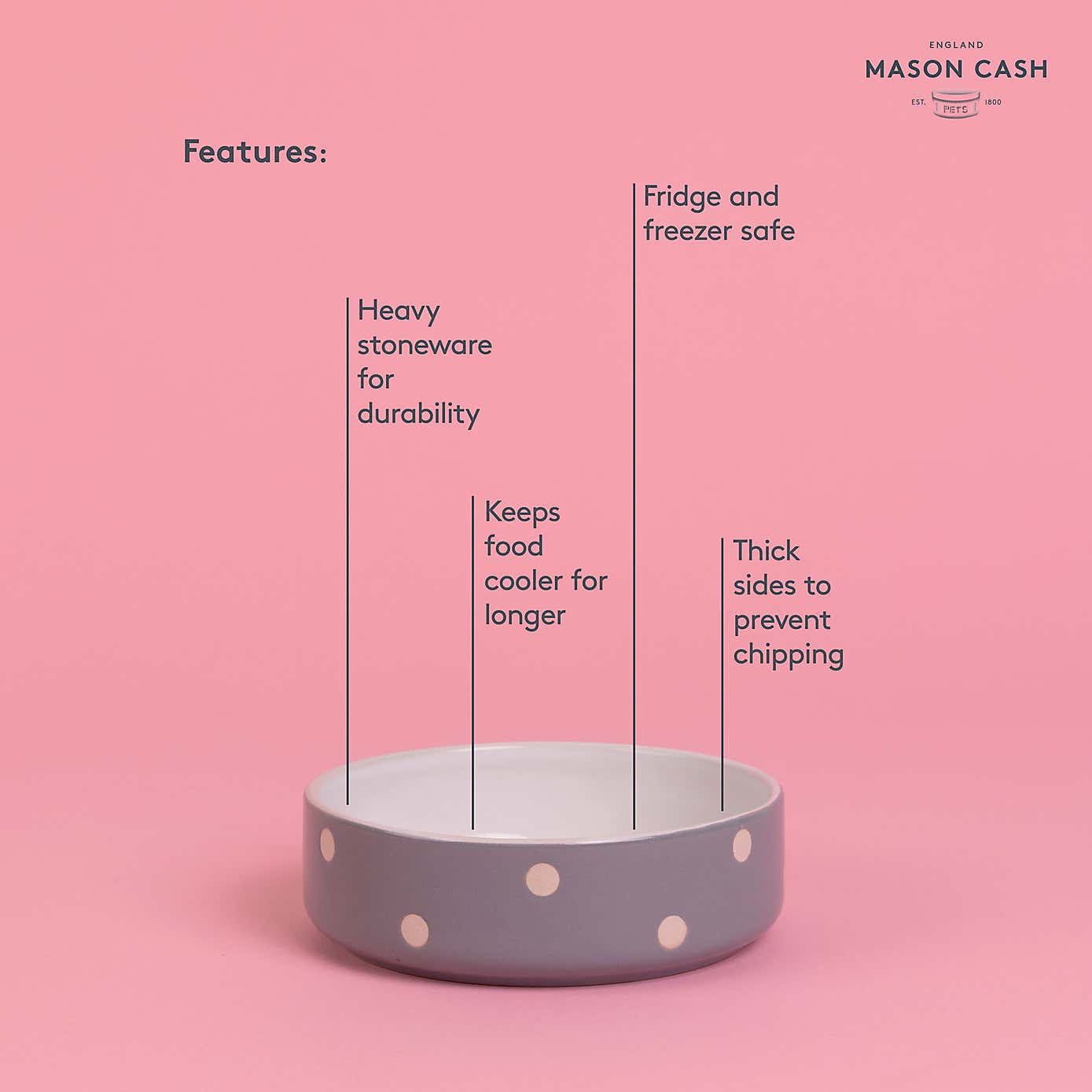 Mason Cash Set of 2 Spotty Pet Bowls