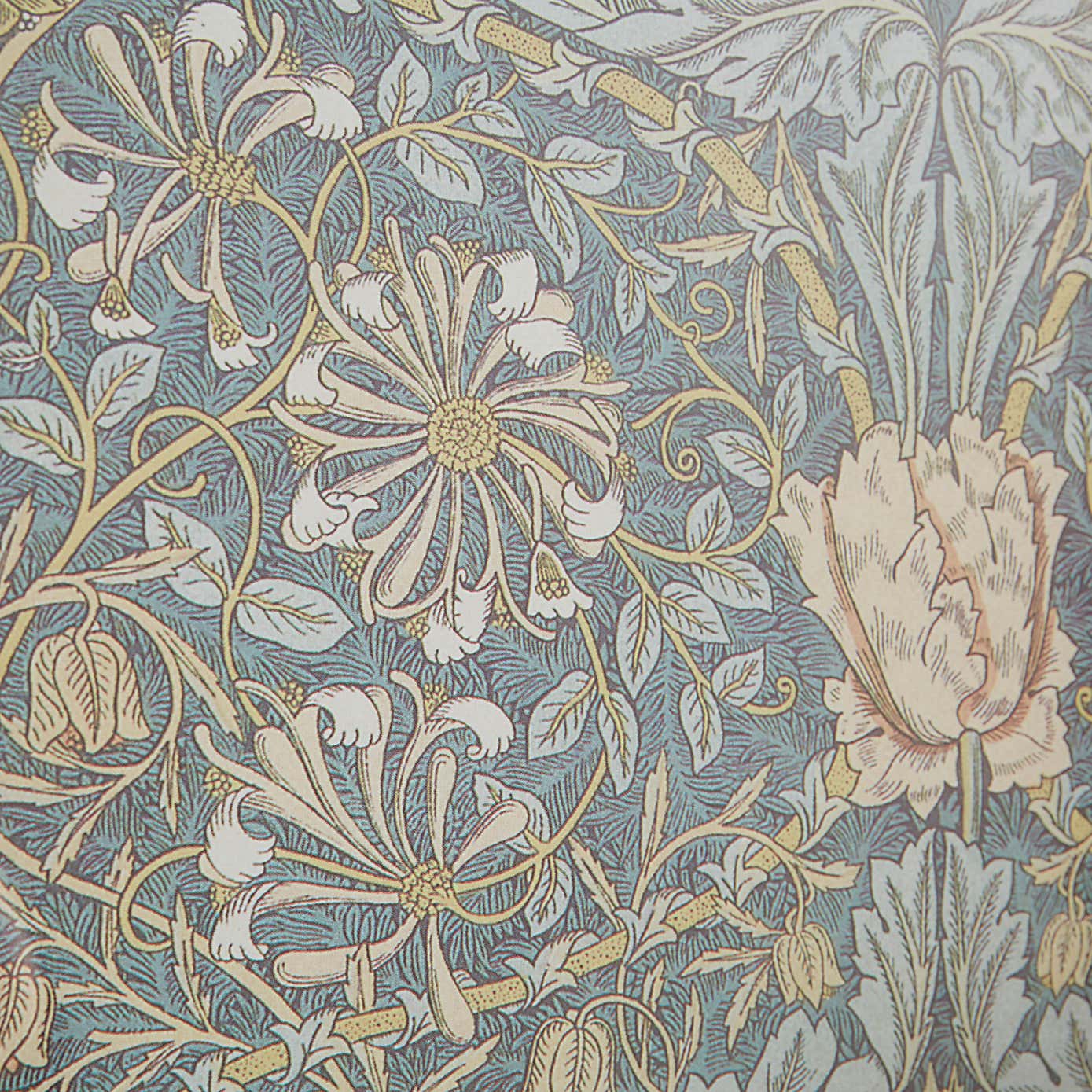 Honeysuckle by William Morris Framed Print