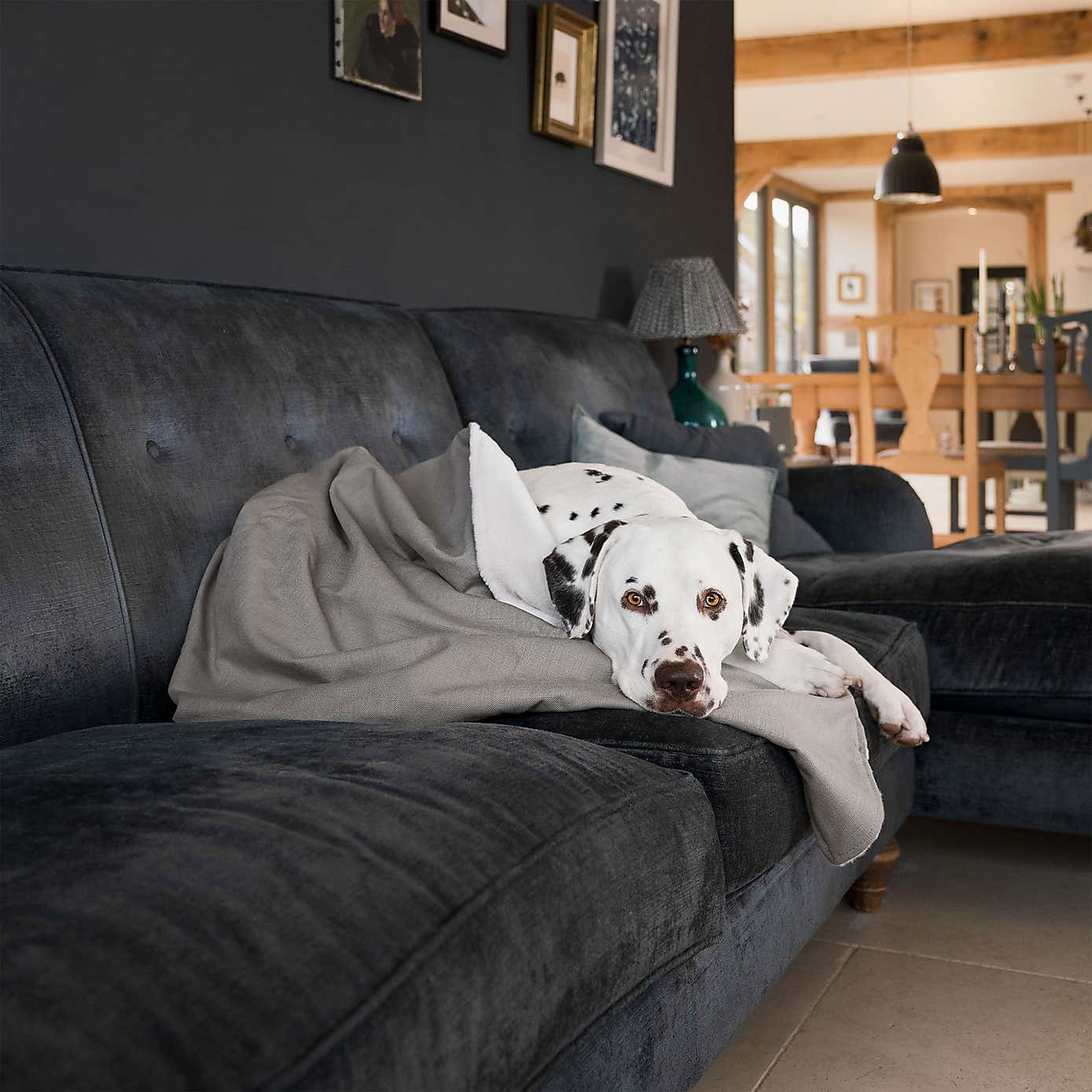 Lords and Labradors Savanna Dog Blanket