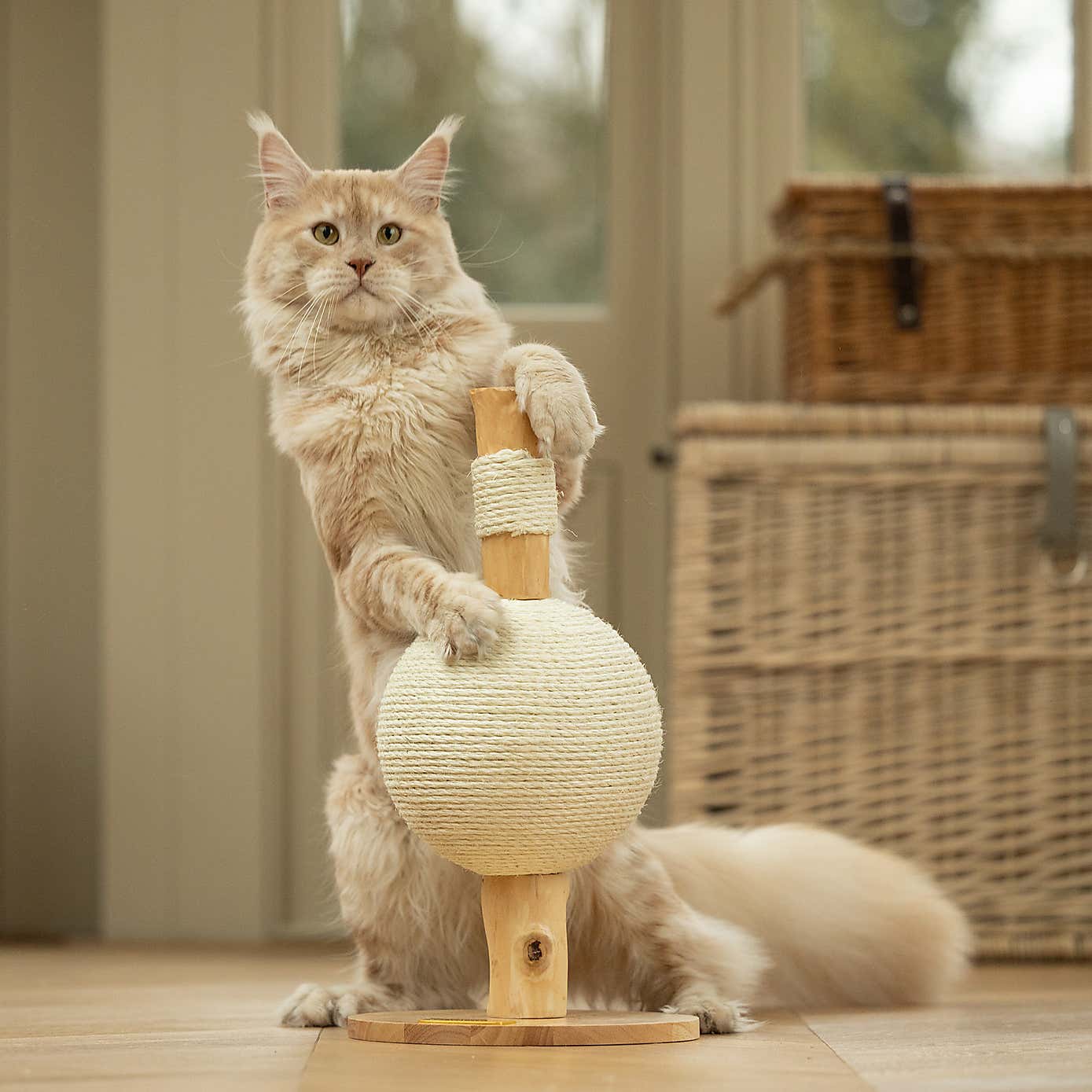 Lords and Labradors Ball Cat Scratch Post