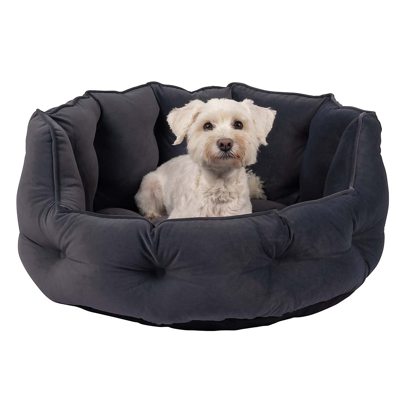 Bunty Pets Monarch Pet Bed