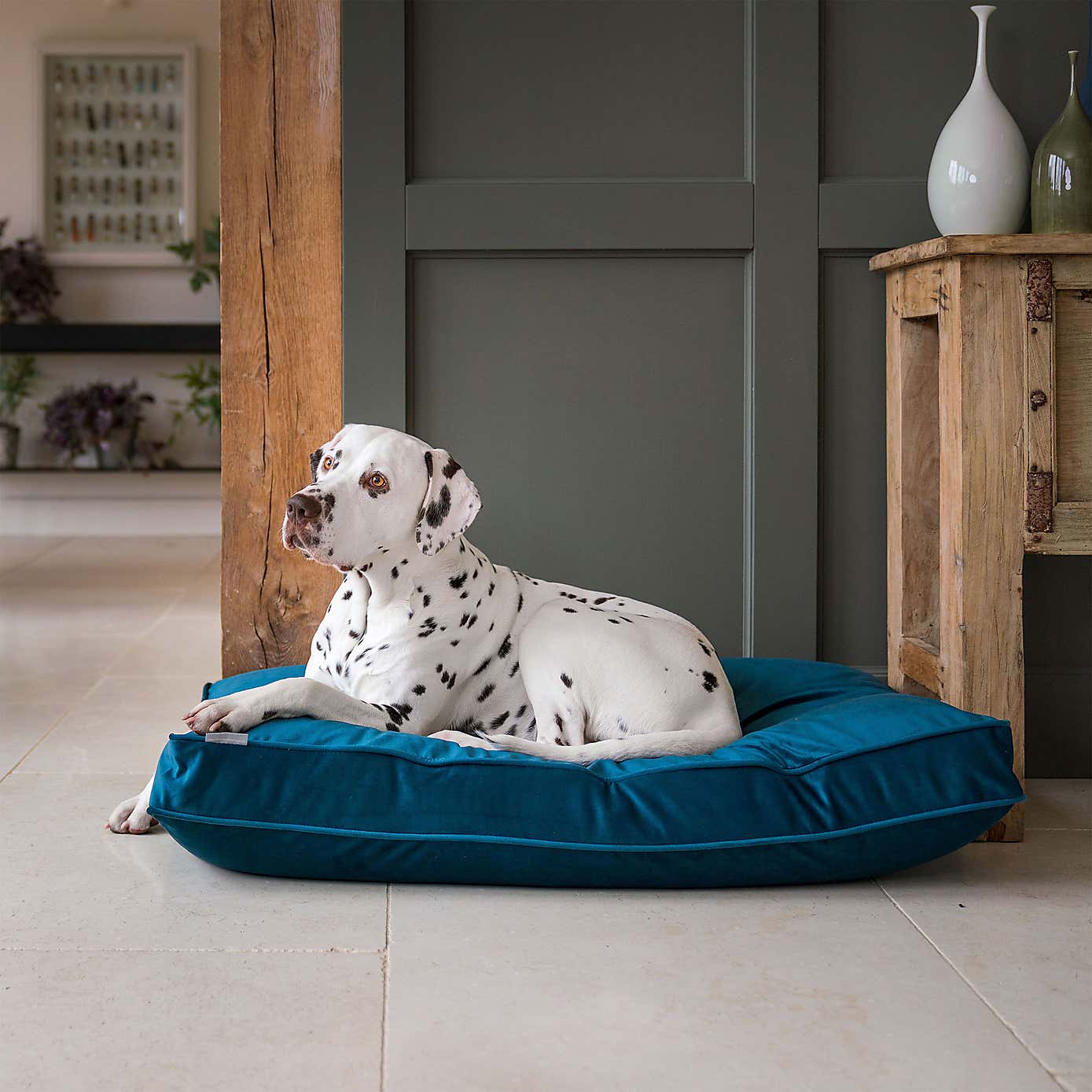 Lords and Labradors Velvet Dog Cushion