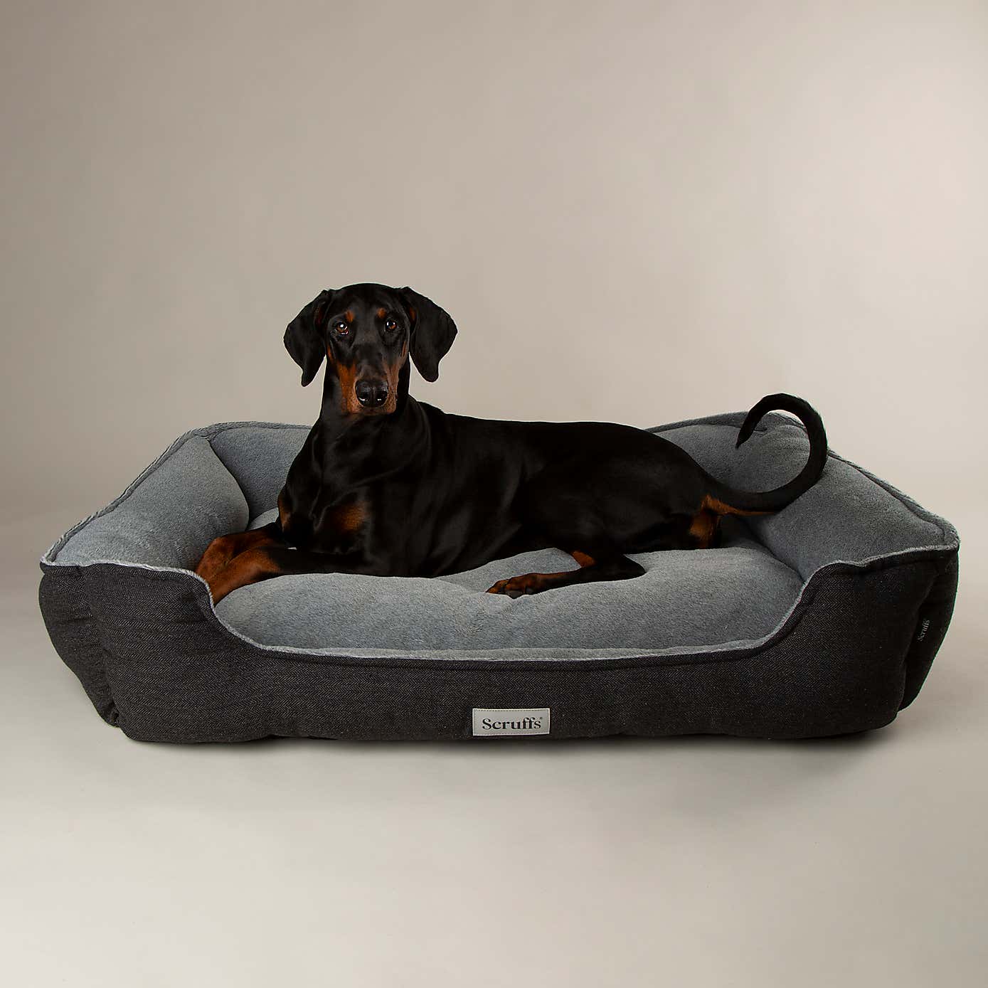 Scruffs Harvard Memory Foam Orthopaedic Box Bed