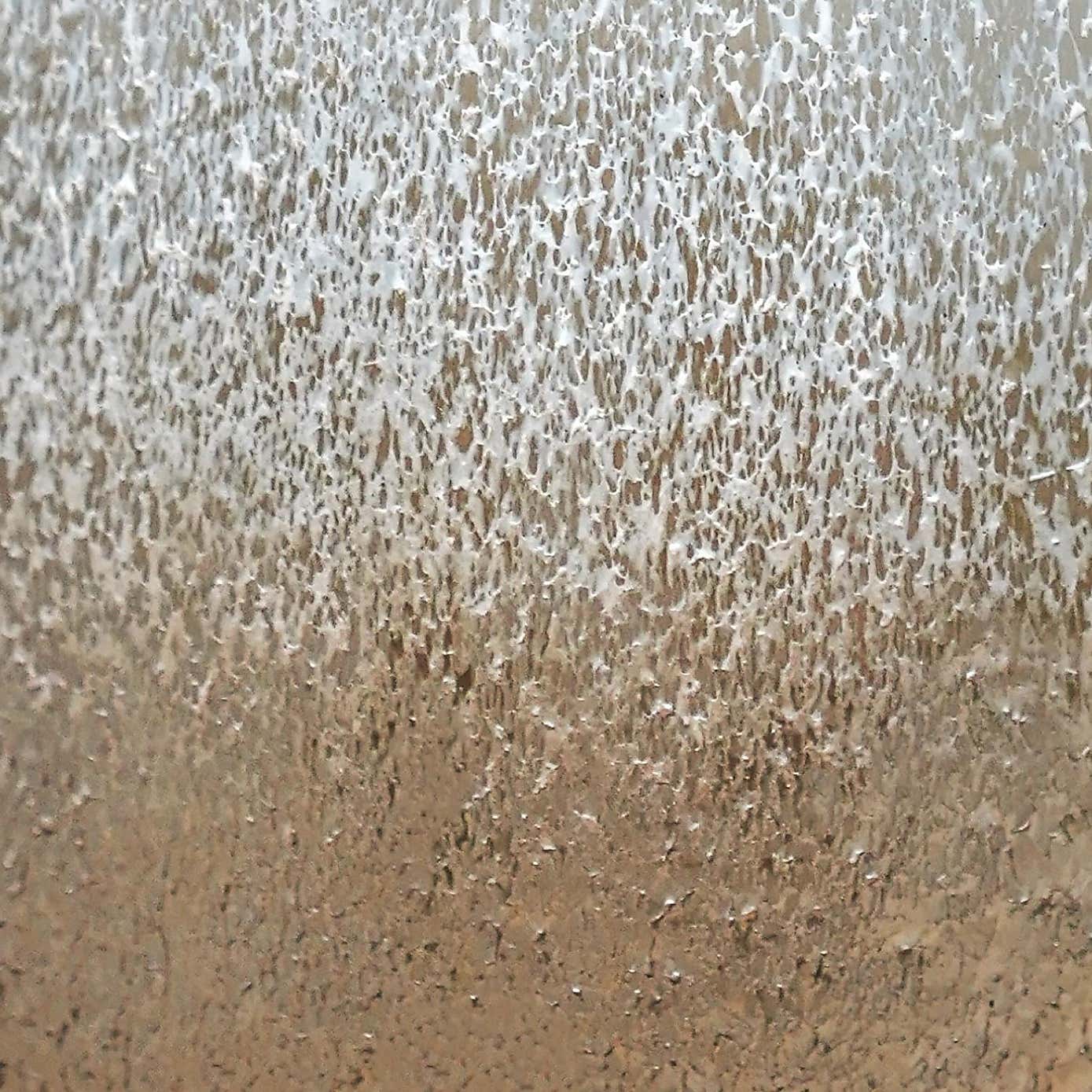 Verre Stem Frosted Glass Vase