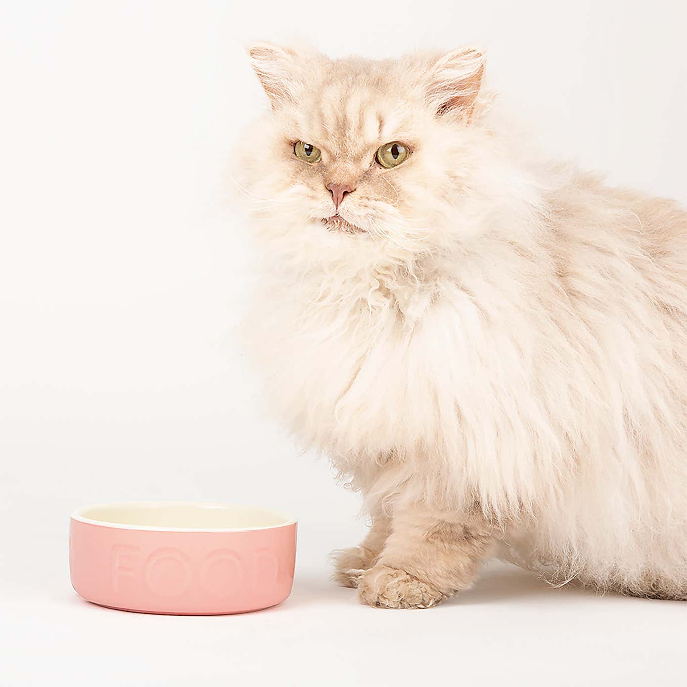 Scruffs Set of 2 Cat Bowls