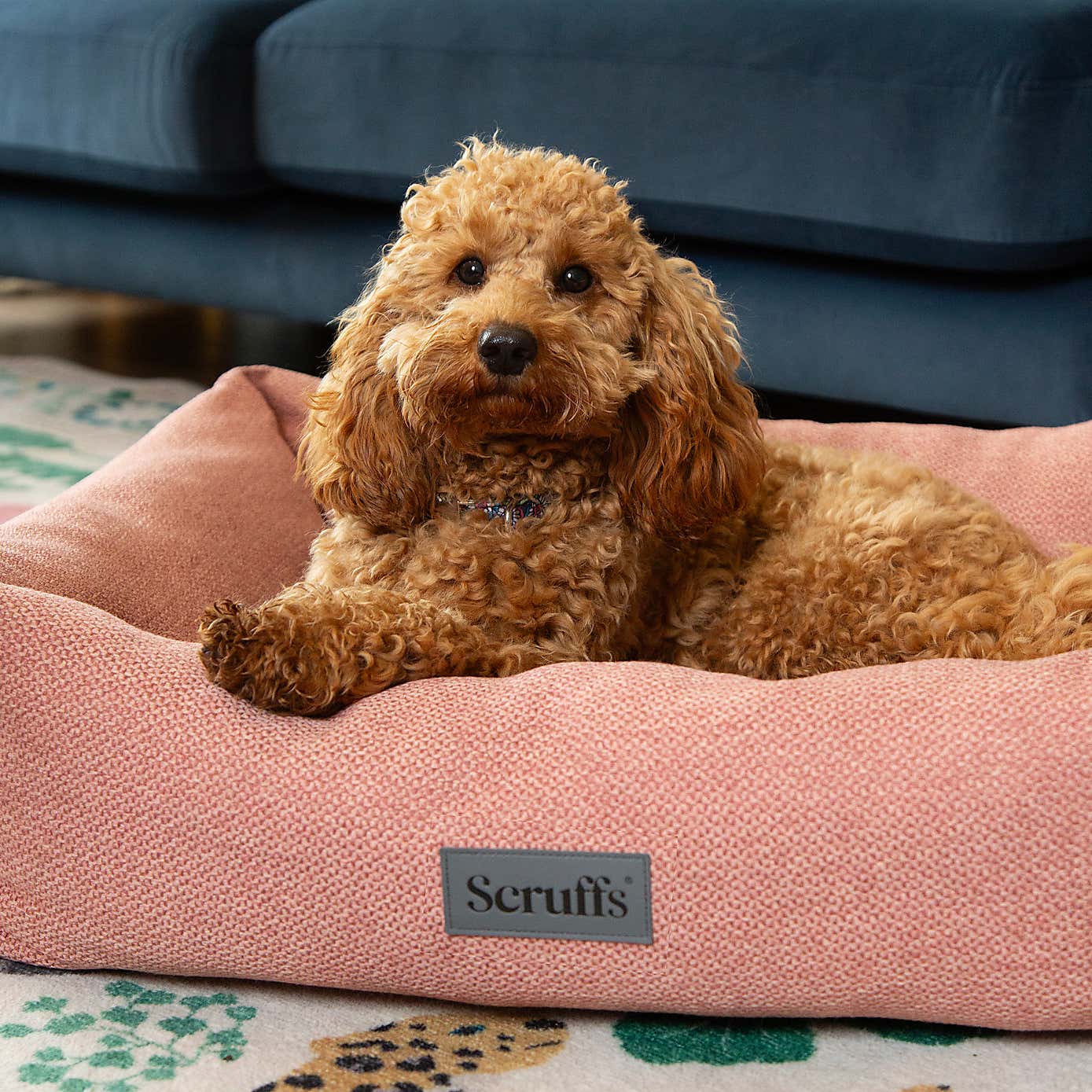 Scruffs Seattle Box Bed