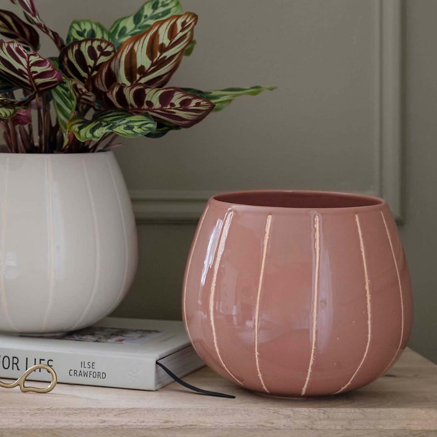 Nova Wax Relief Planter