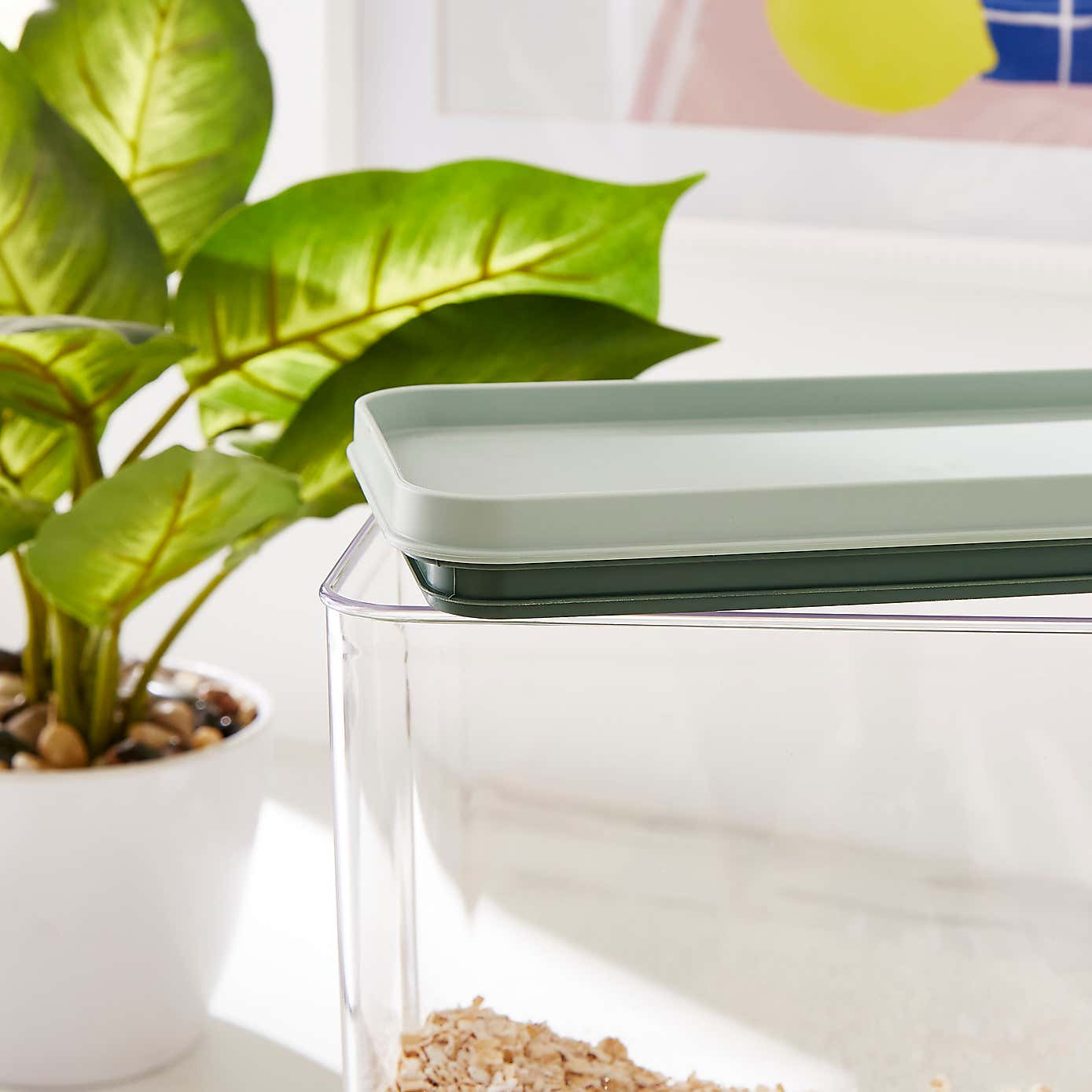 Stackable Rectangle Storage Container