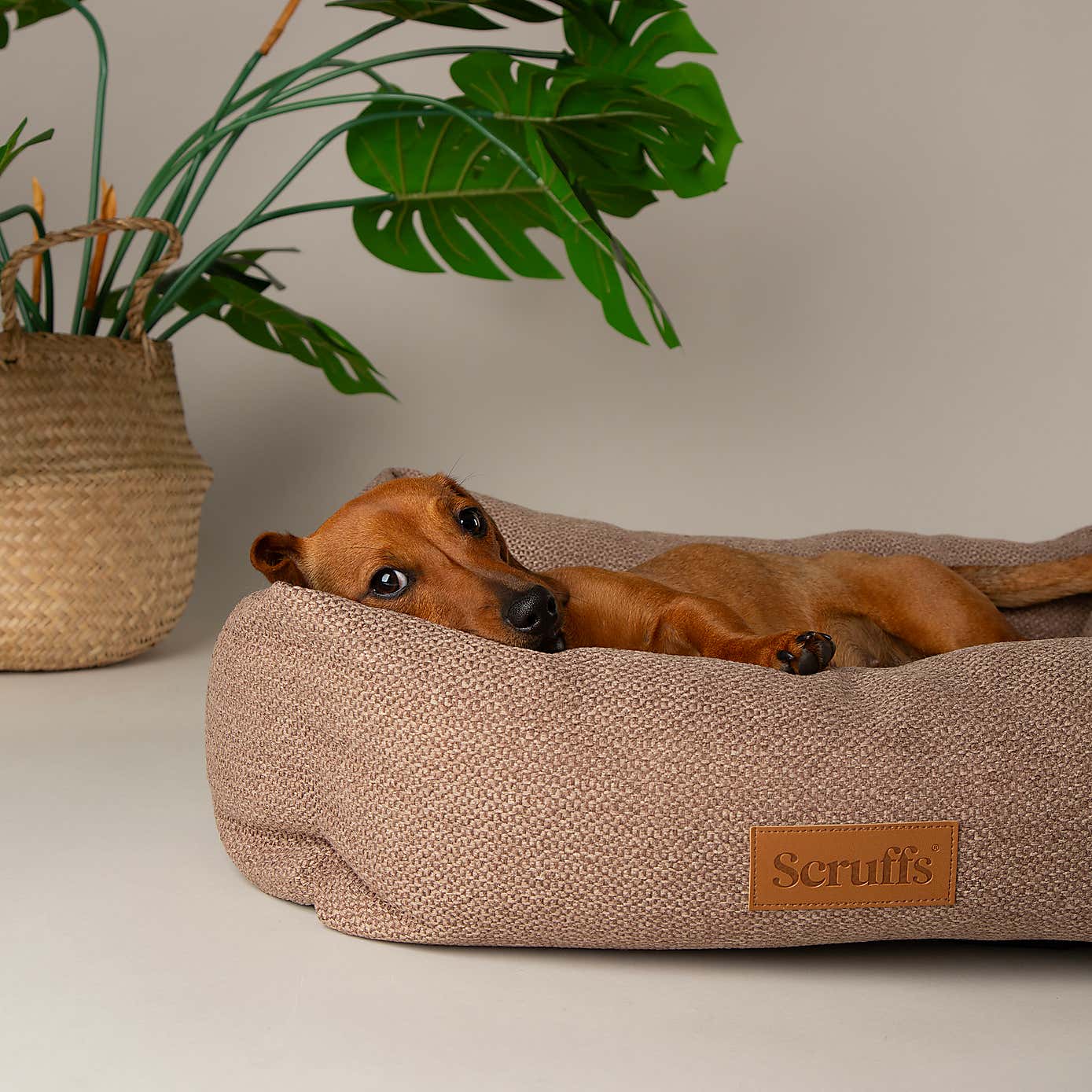 Scruffs Seattle Box Bed