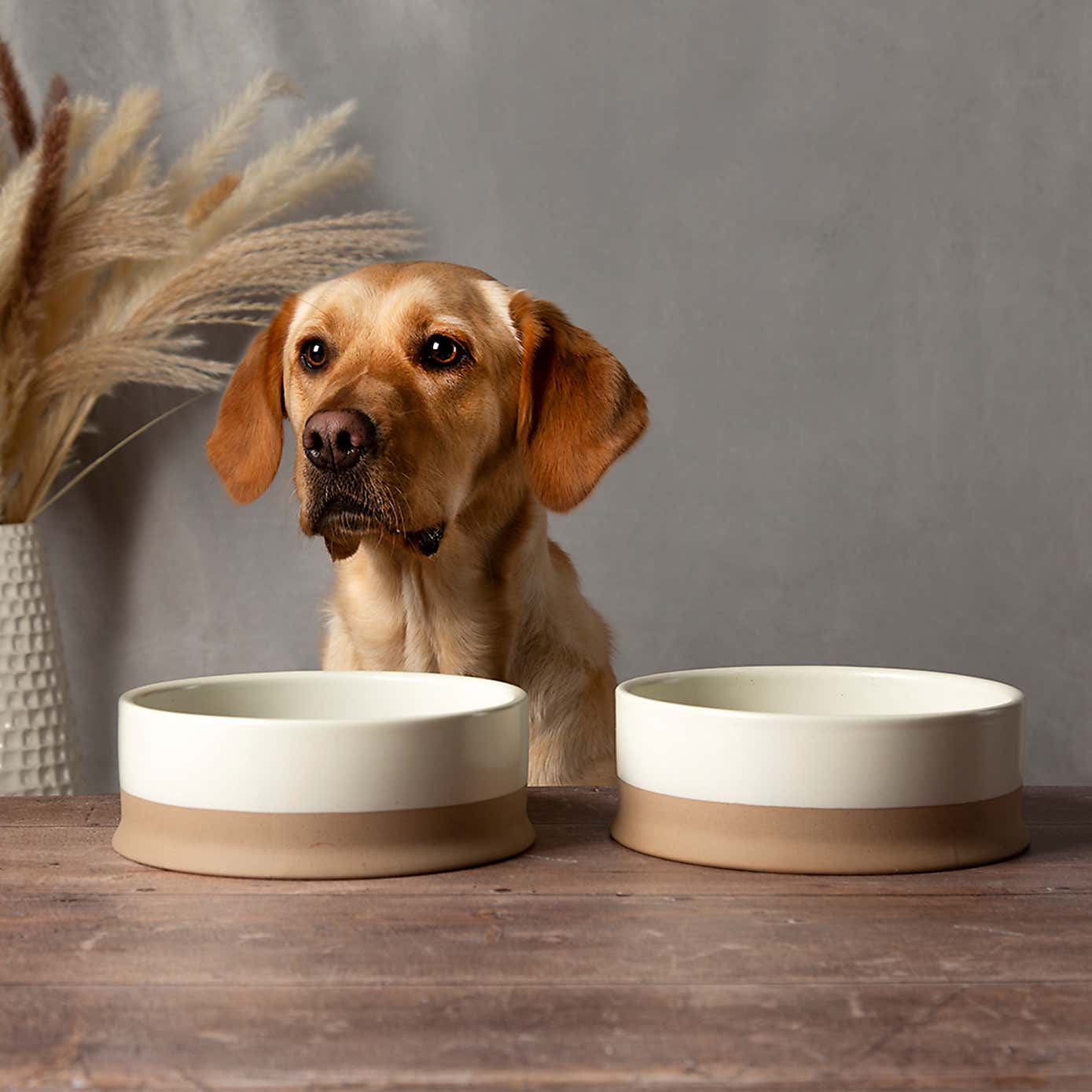 Scruffs Set of 2 Scandi Pet Bowls