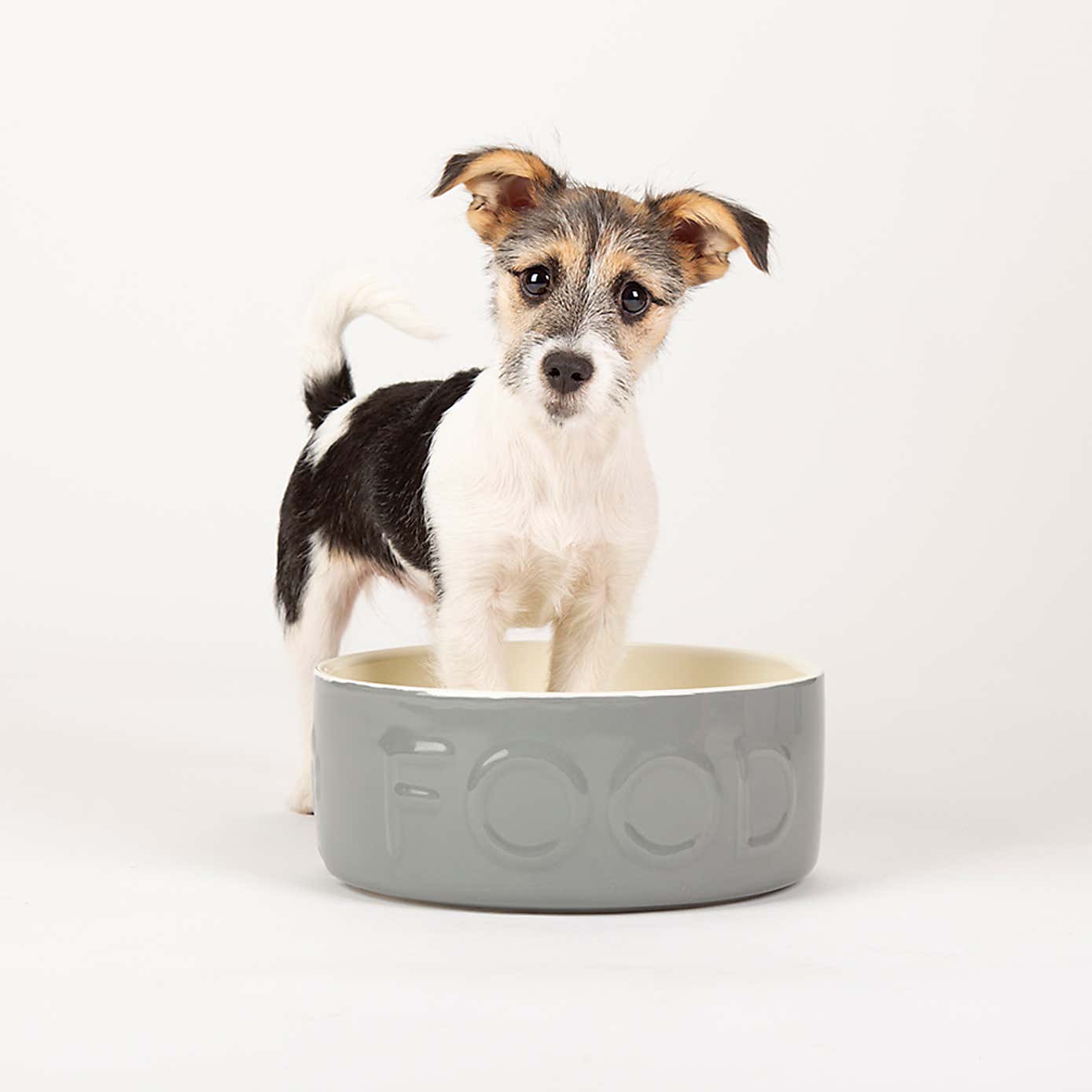 Scruffs Set of 2 Extra Large Grey Food and Drink Dog Bowls