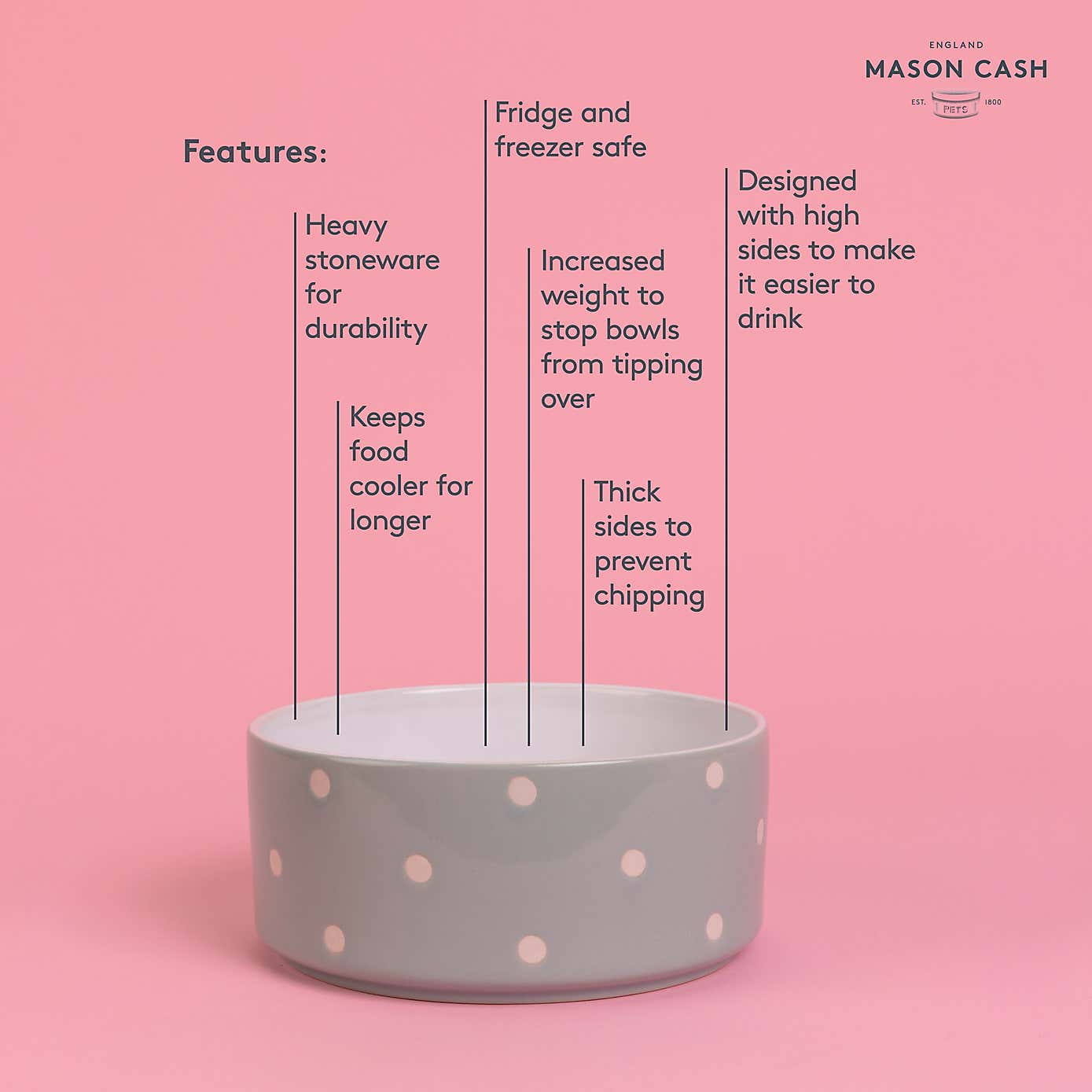 Mason Cash Set of 2 Spotty Pet Bowls