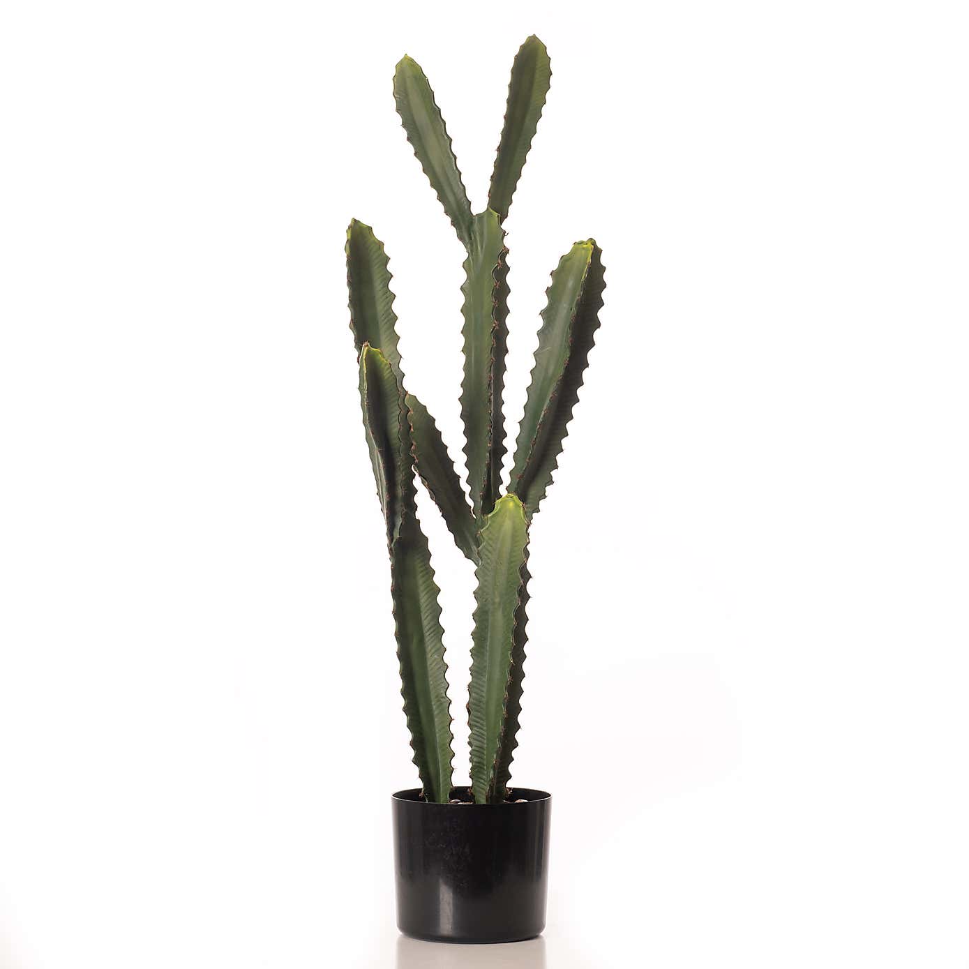 Artificial Euphorbia Cactus in Black Plastic Plant Pot