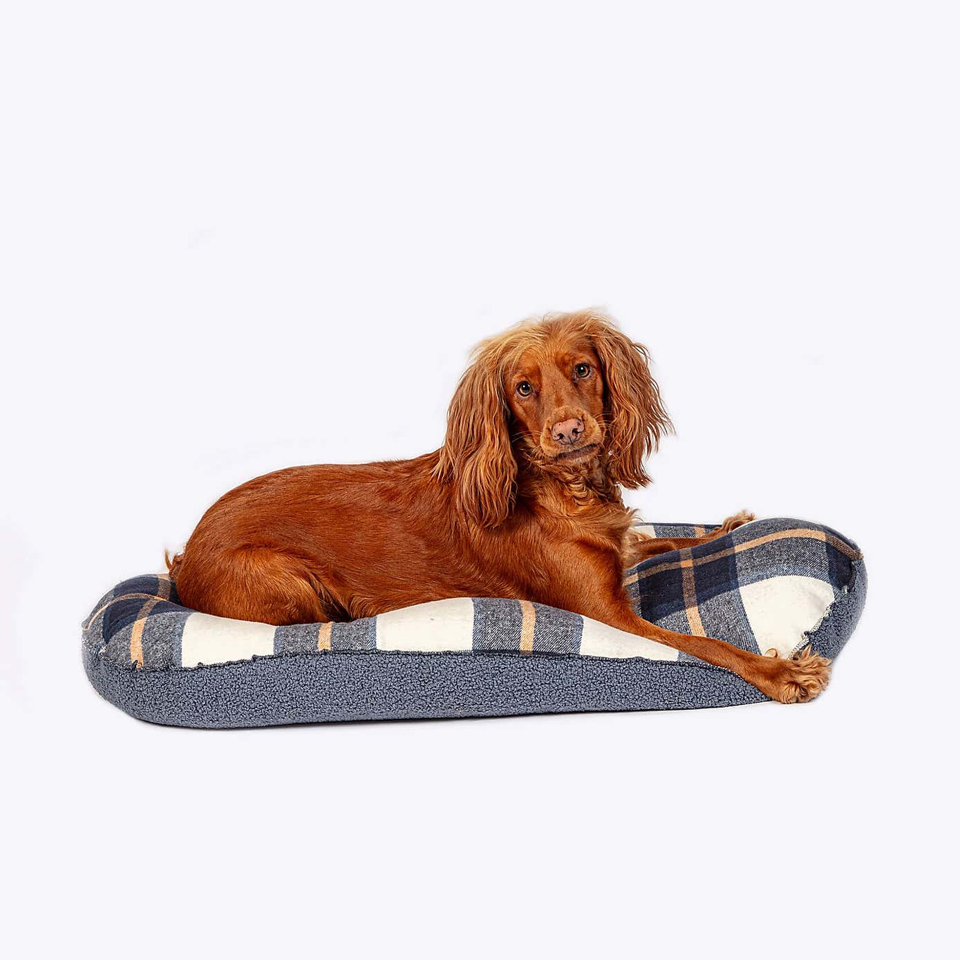Danish Design Bowmore Quilted Dog Mattress