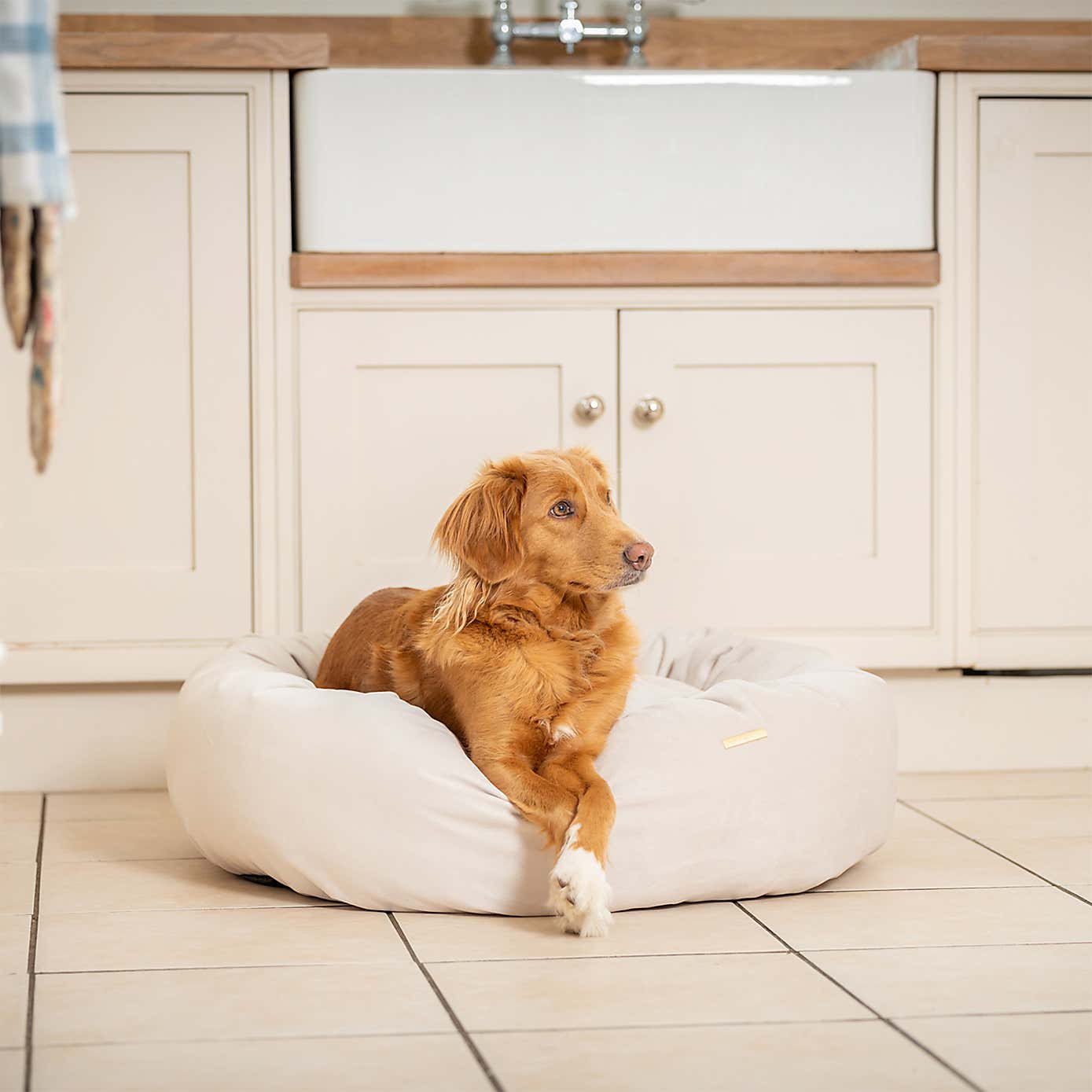 Lords and Labradors Velvet Donut Dog Bed