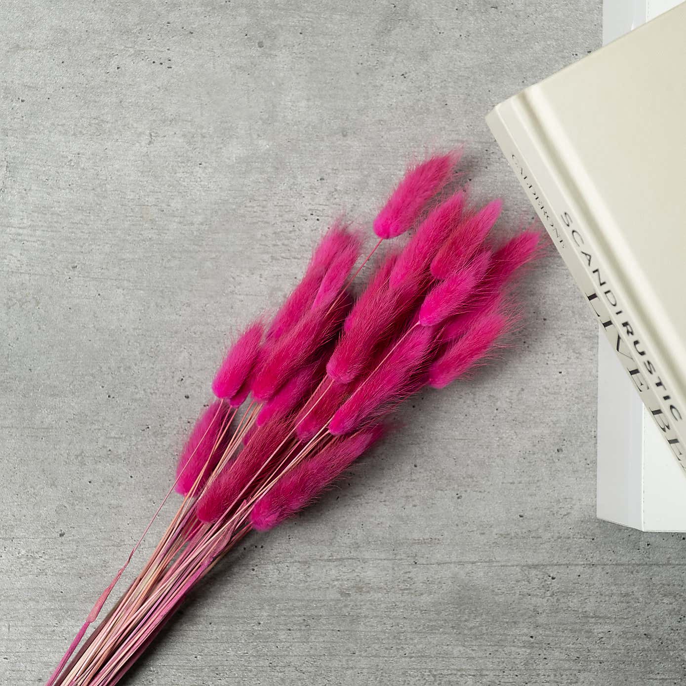 Dried Bunny Tails Bouquet