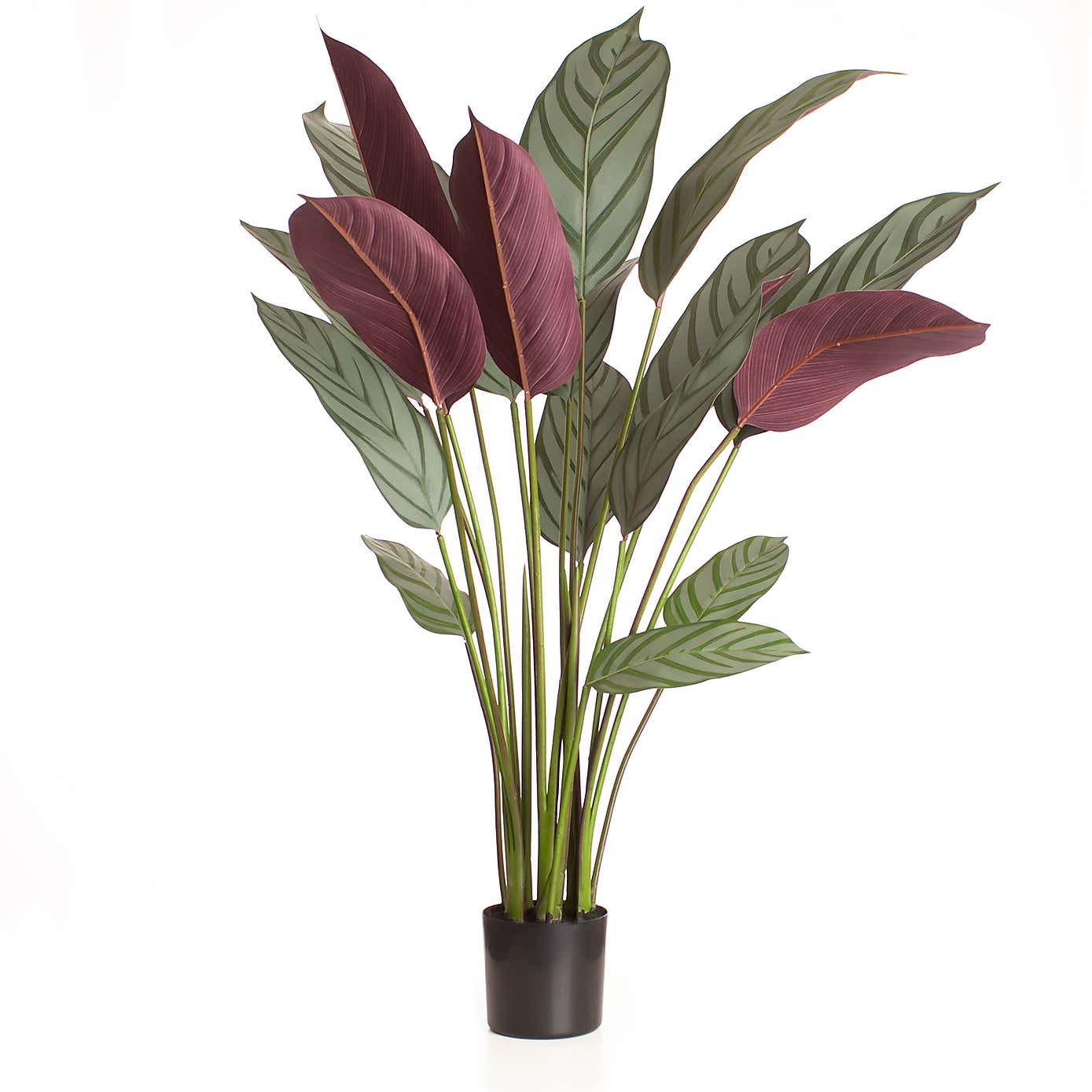 Artificial Real Touch Prayer Plant in Black Plastic Plant Pot