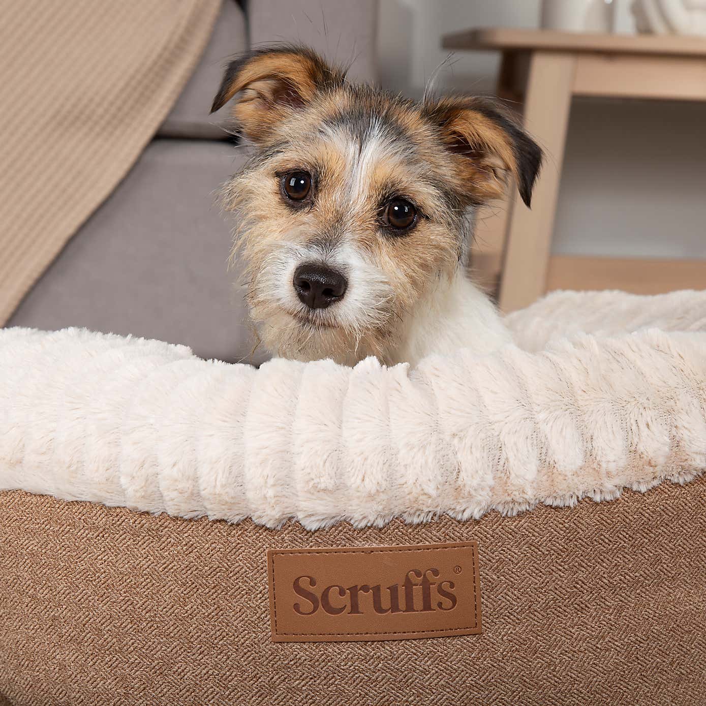 Scruffs Ellen Donut Dog Bed