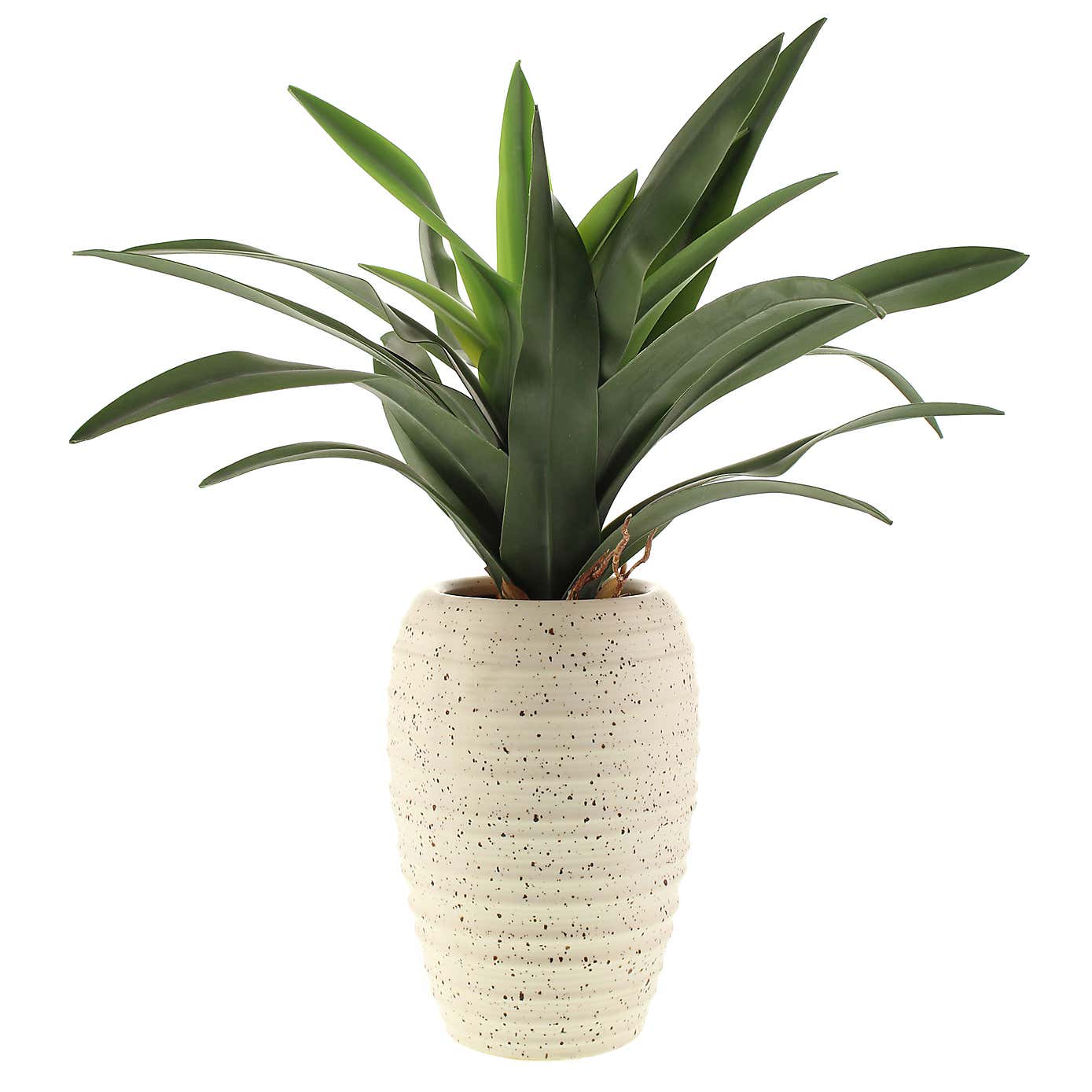 Artificial Dracaena in Ribbed White Plant Pot