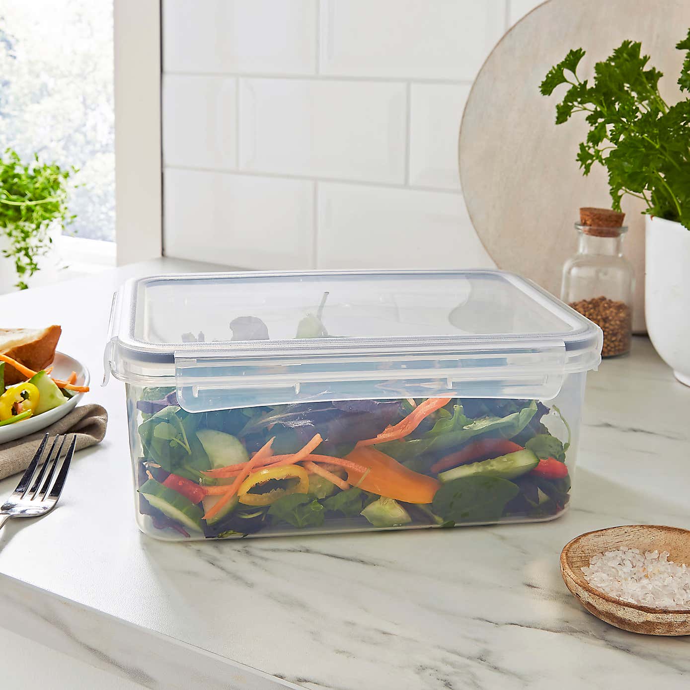 Clip Lock Rectangle Container