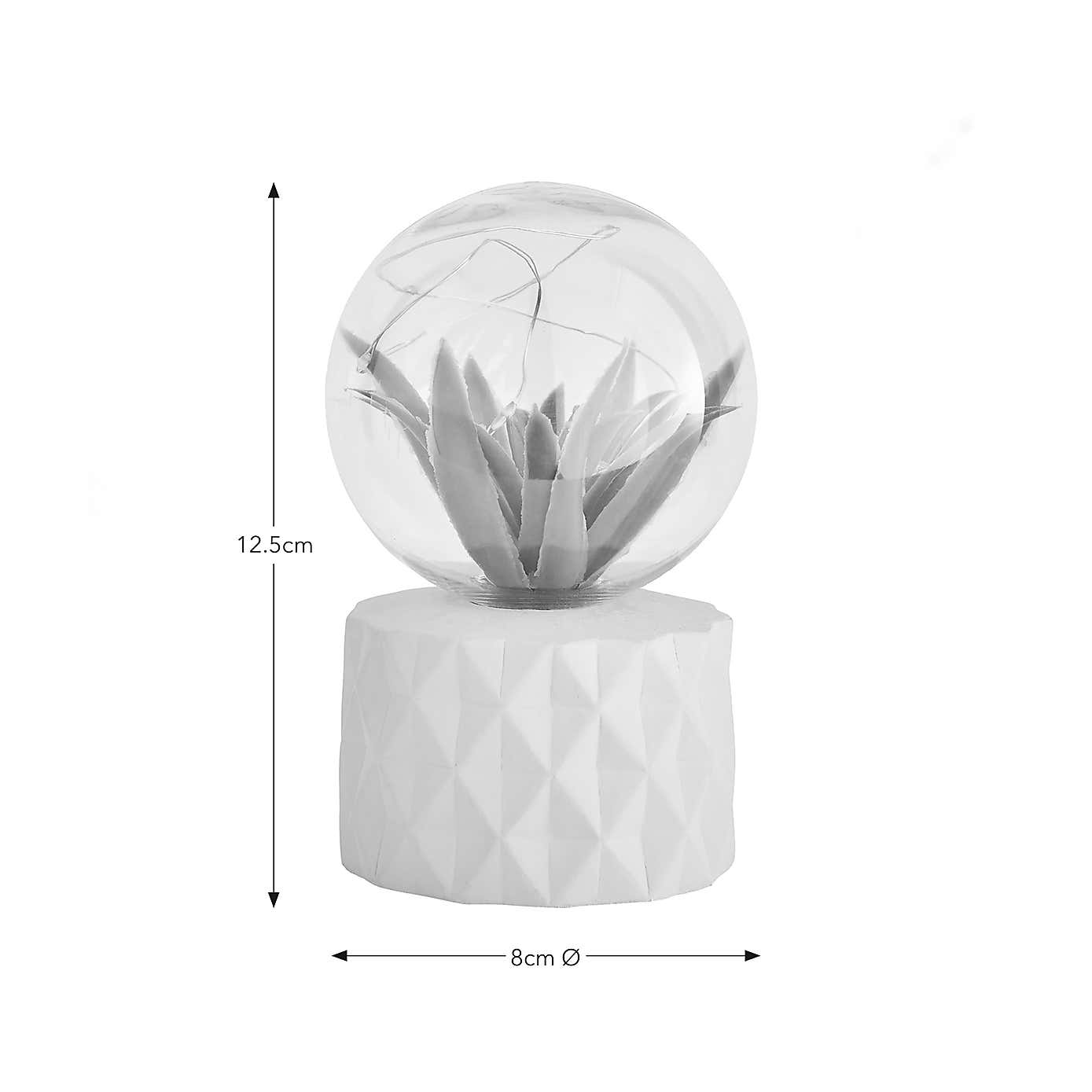 Faux Terrarium Geometric Battery Lamp