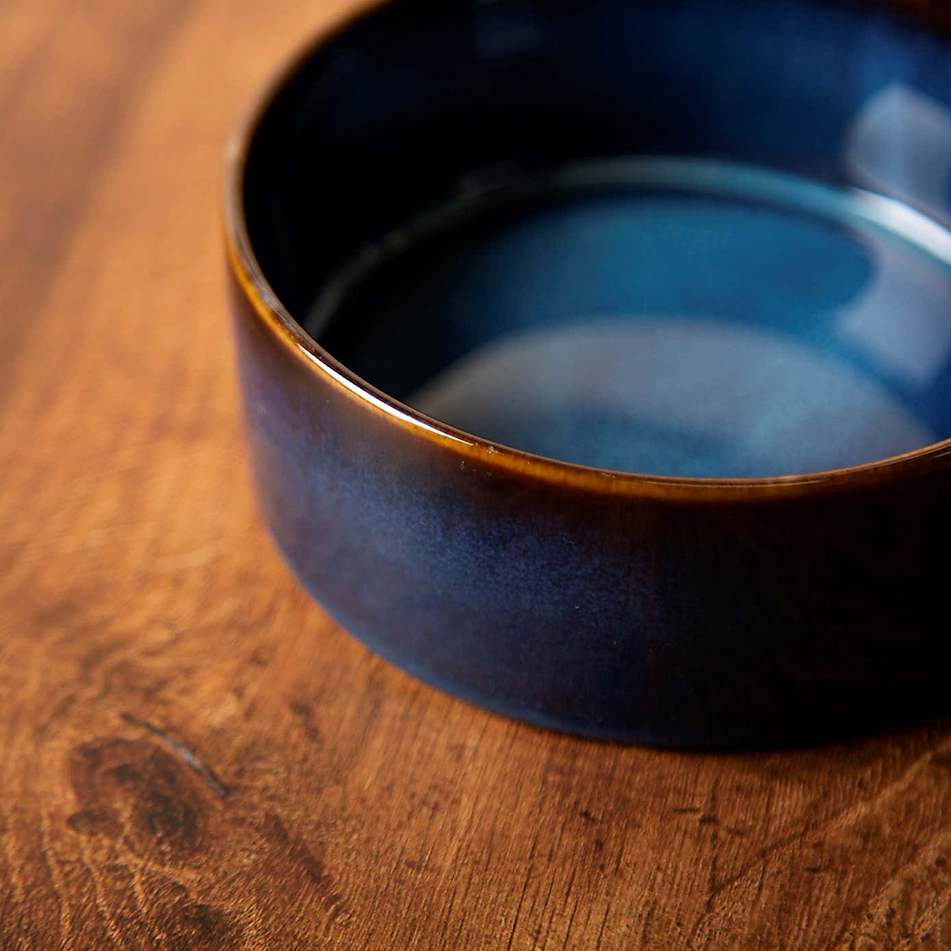 Set of 2 Scruffs Reactive Bowls