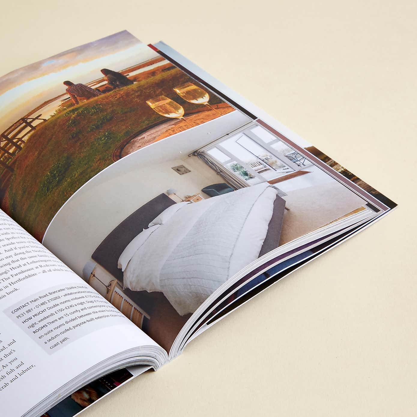 Cool Places Dog Friendly Britain