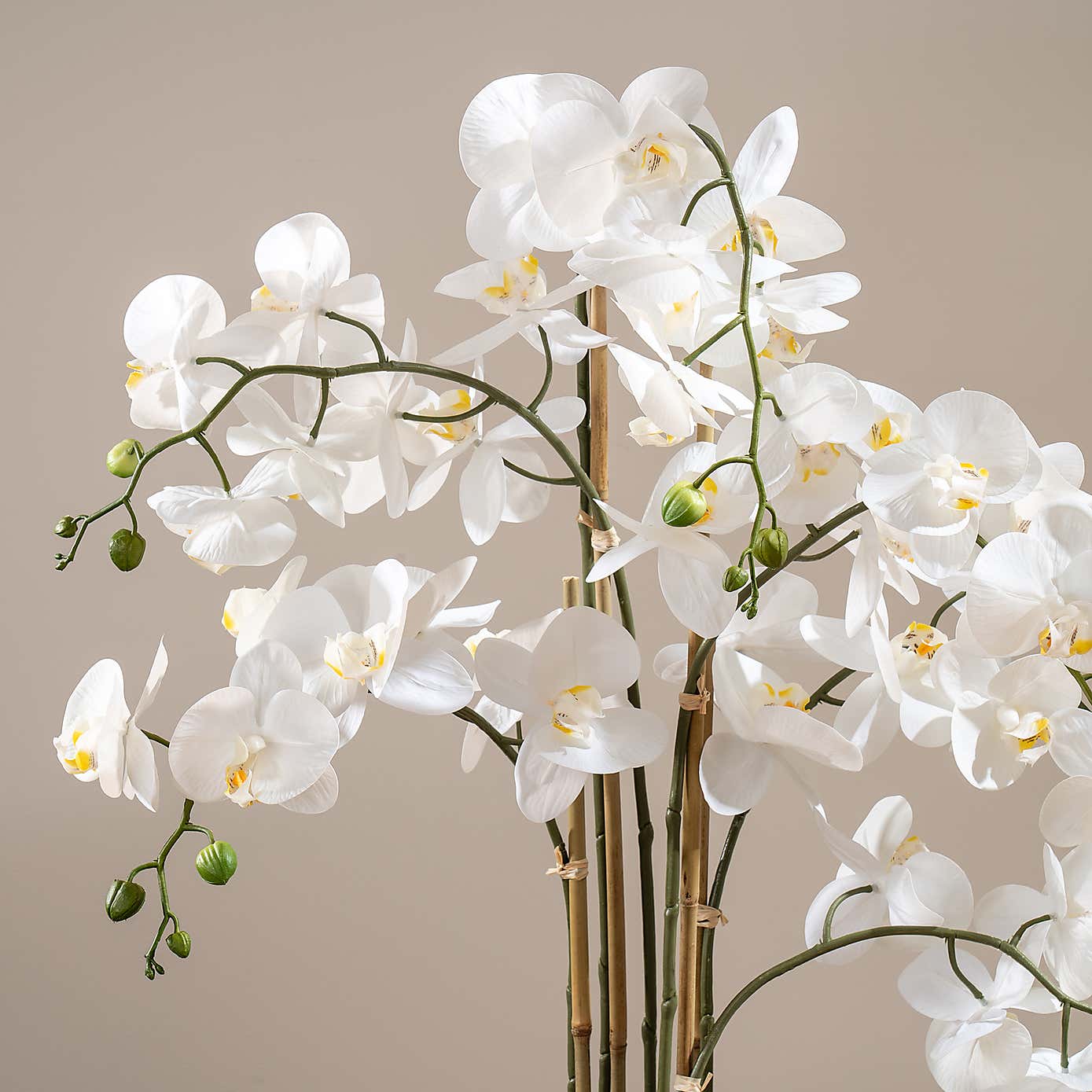 Artificial Real Touch Phalaenopsis Orchid in Stone Pot