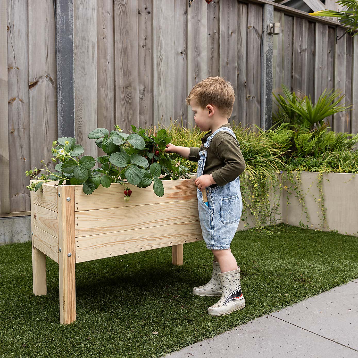 Fallen Fruits Children's Raised Bed