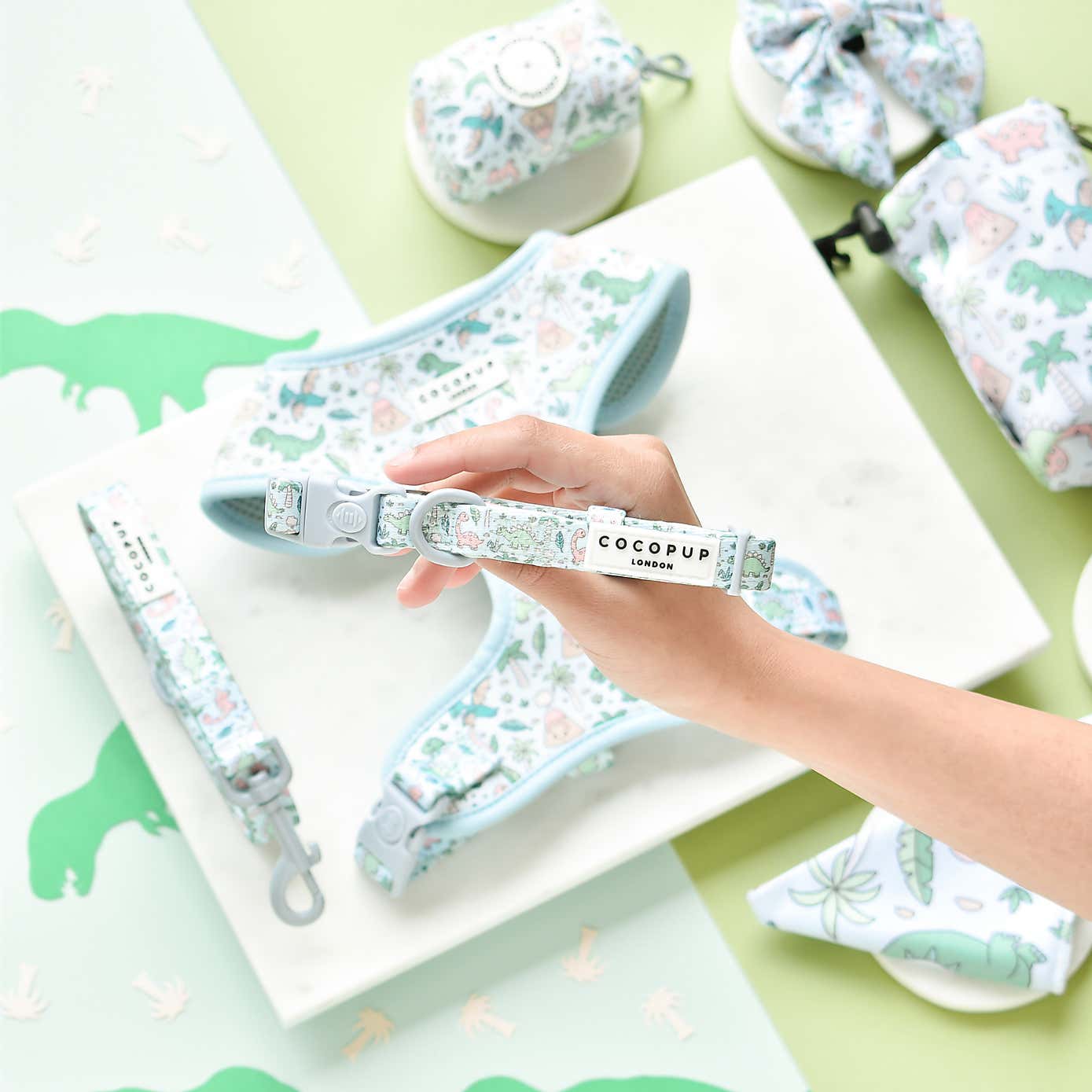 Cocopup Dinopaws Dog Collar and Lead