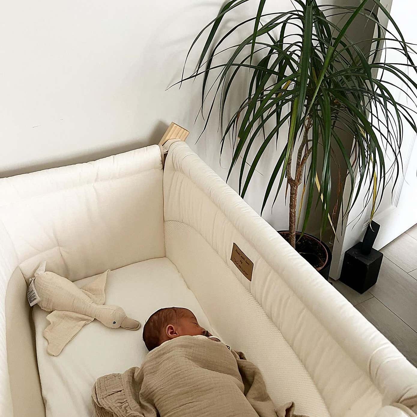 Clair de Lune Organic Folding Crib